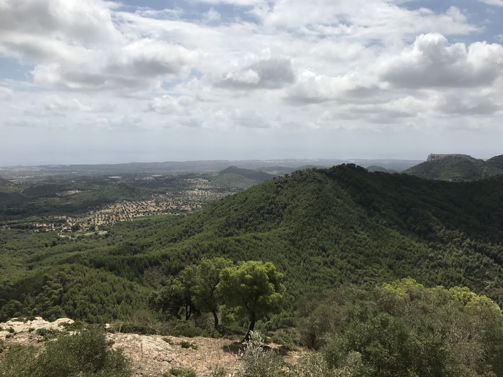 iPhone 7 back camera 3.99mm f/1.8 sample photo. Spain, island, holiday photography