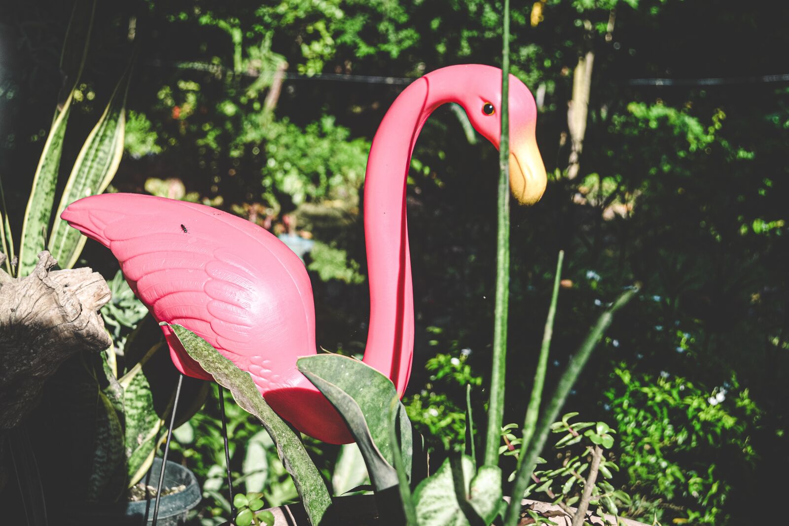 Nikon D3100 sample photo. Green, nature, miniature photography