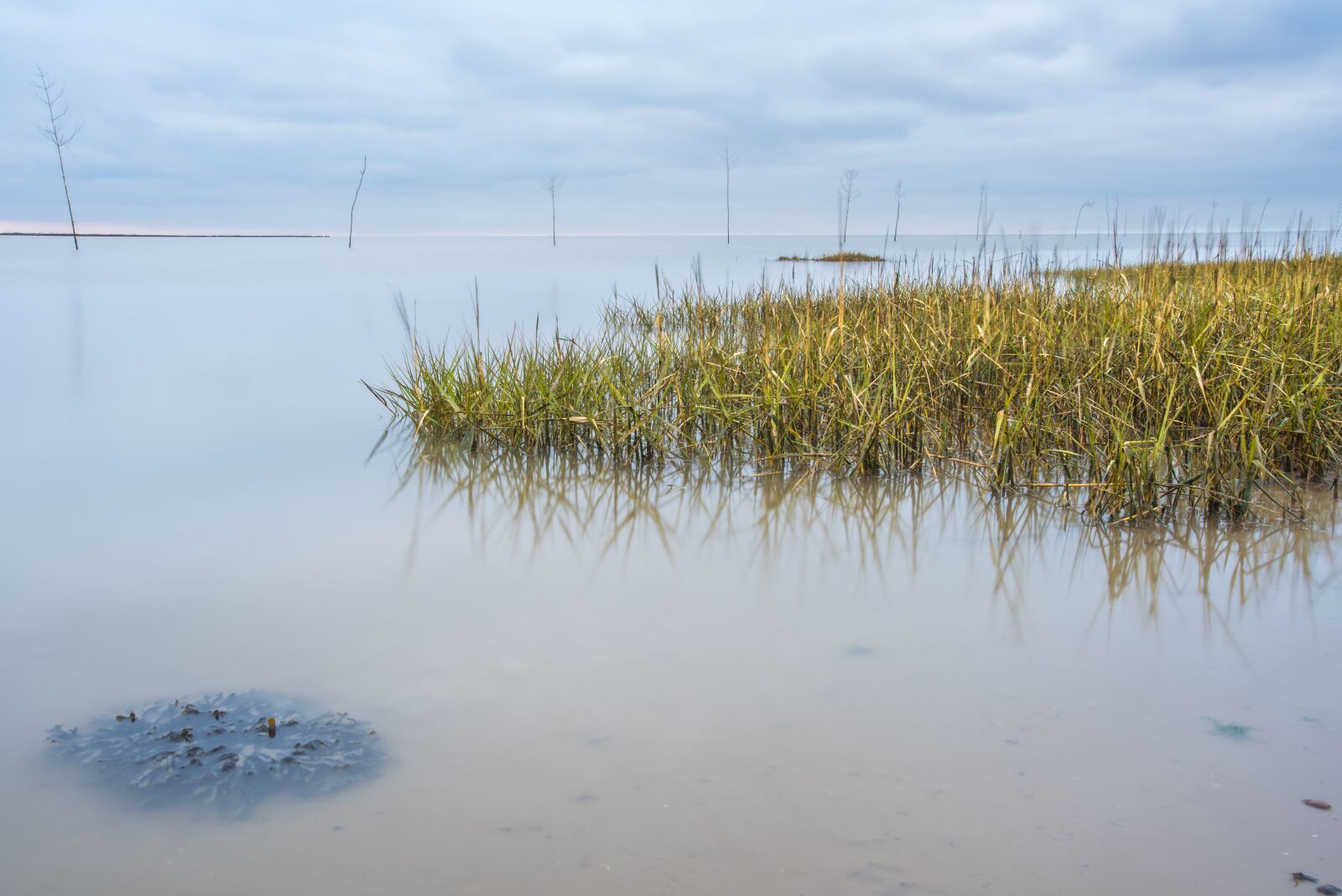 Nikon D750 sample photo. Waters, nature, reflection photography