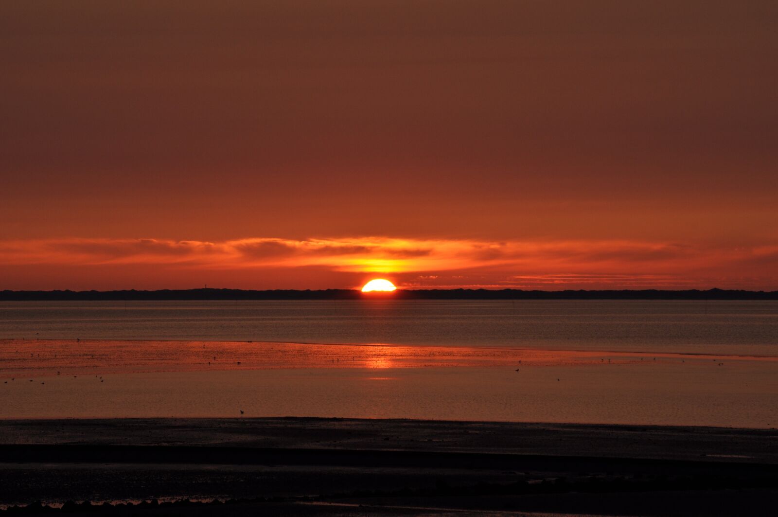 Nikon D5000 sample photo. Sunset, red, sea photography