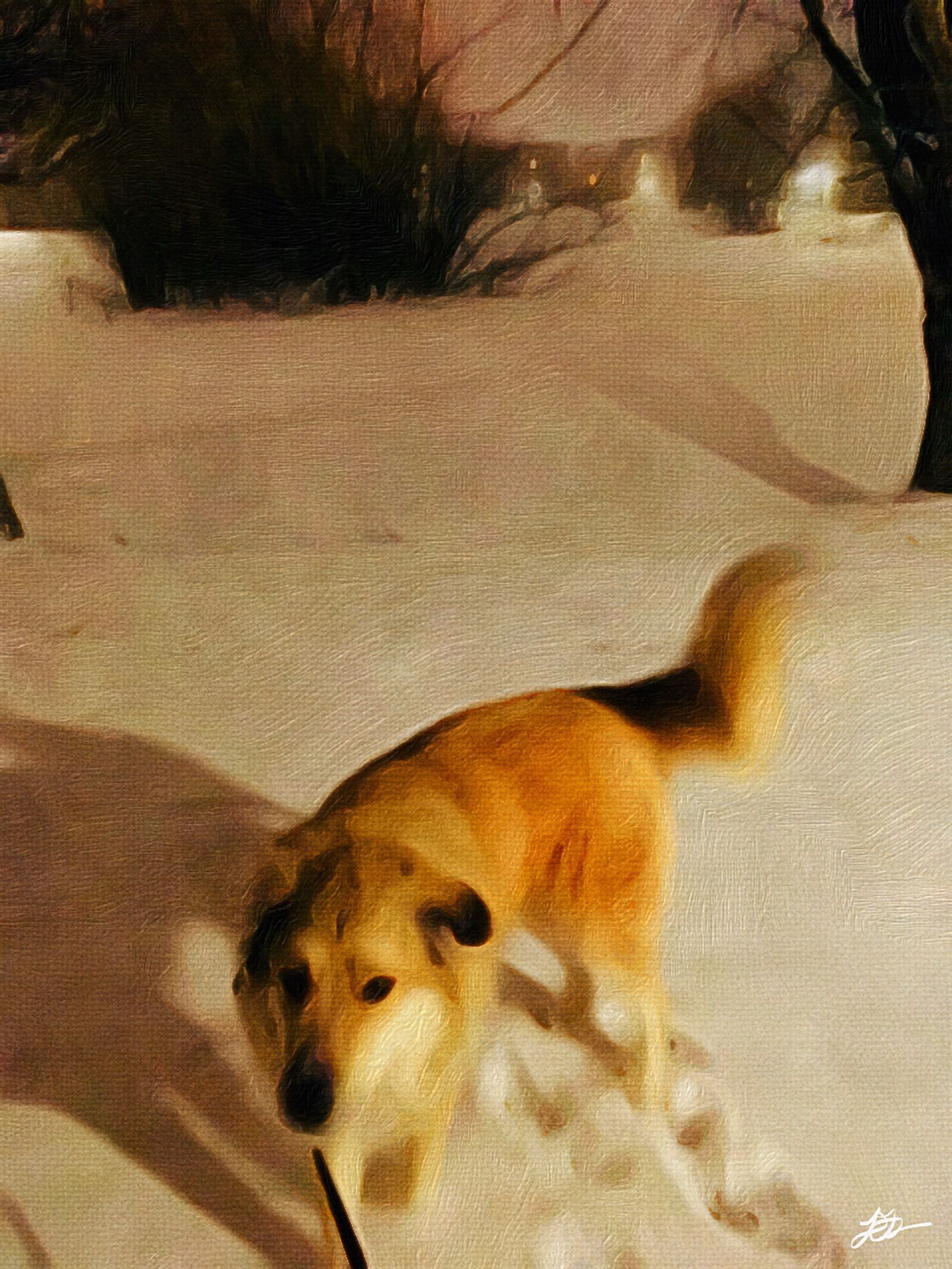 iPhone SE back camera 4.15mm f/2.2 sample photo. Dog, snow, landscape photography
