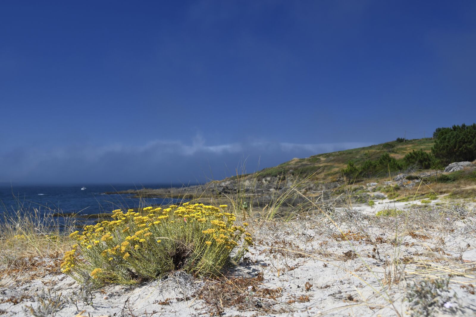 Nikon D500 sample photo. Sea, beach, coast photography