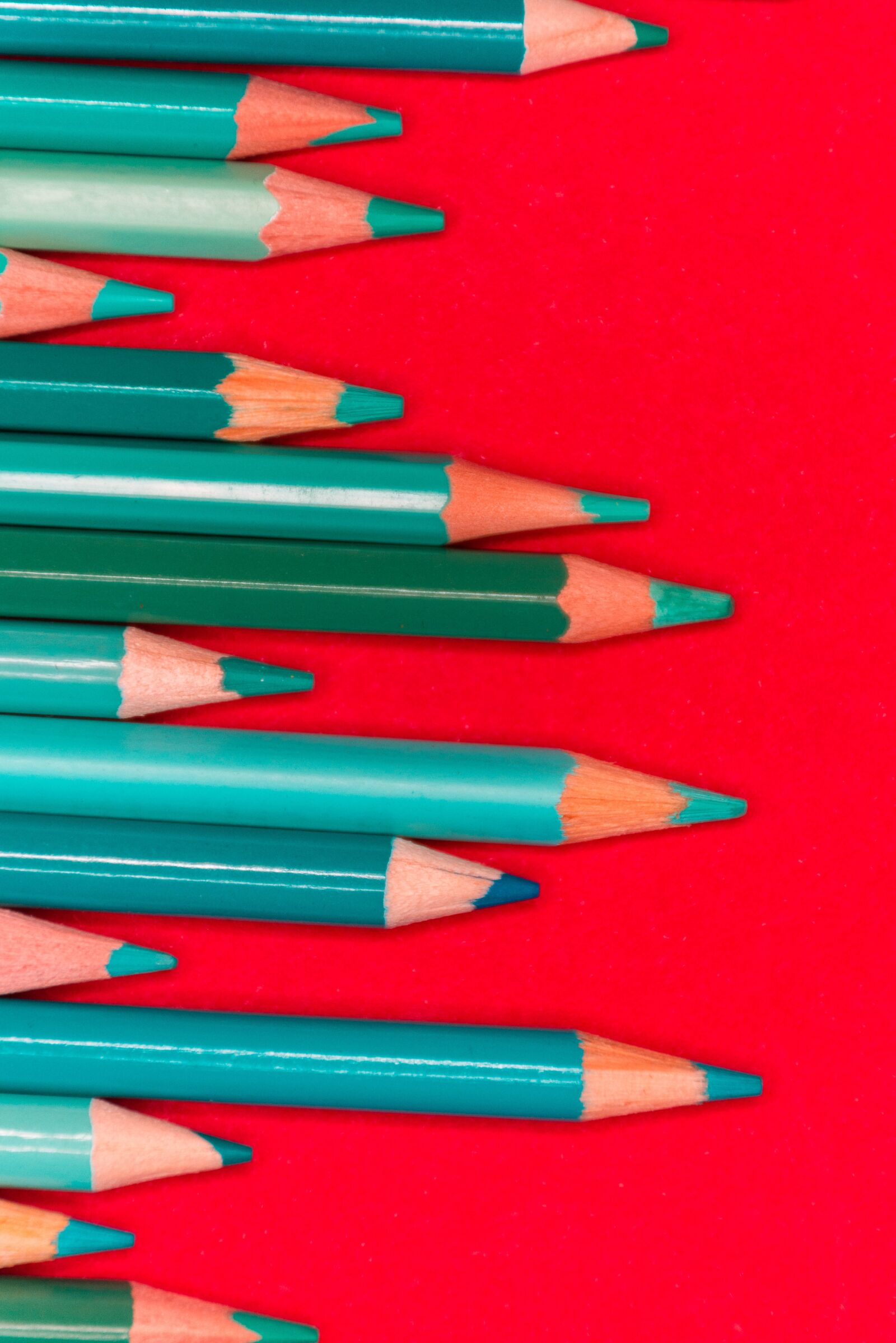 Nikon D7200 sample photo. Pencils, red, school photography