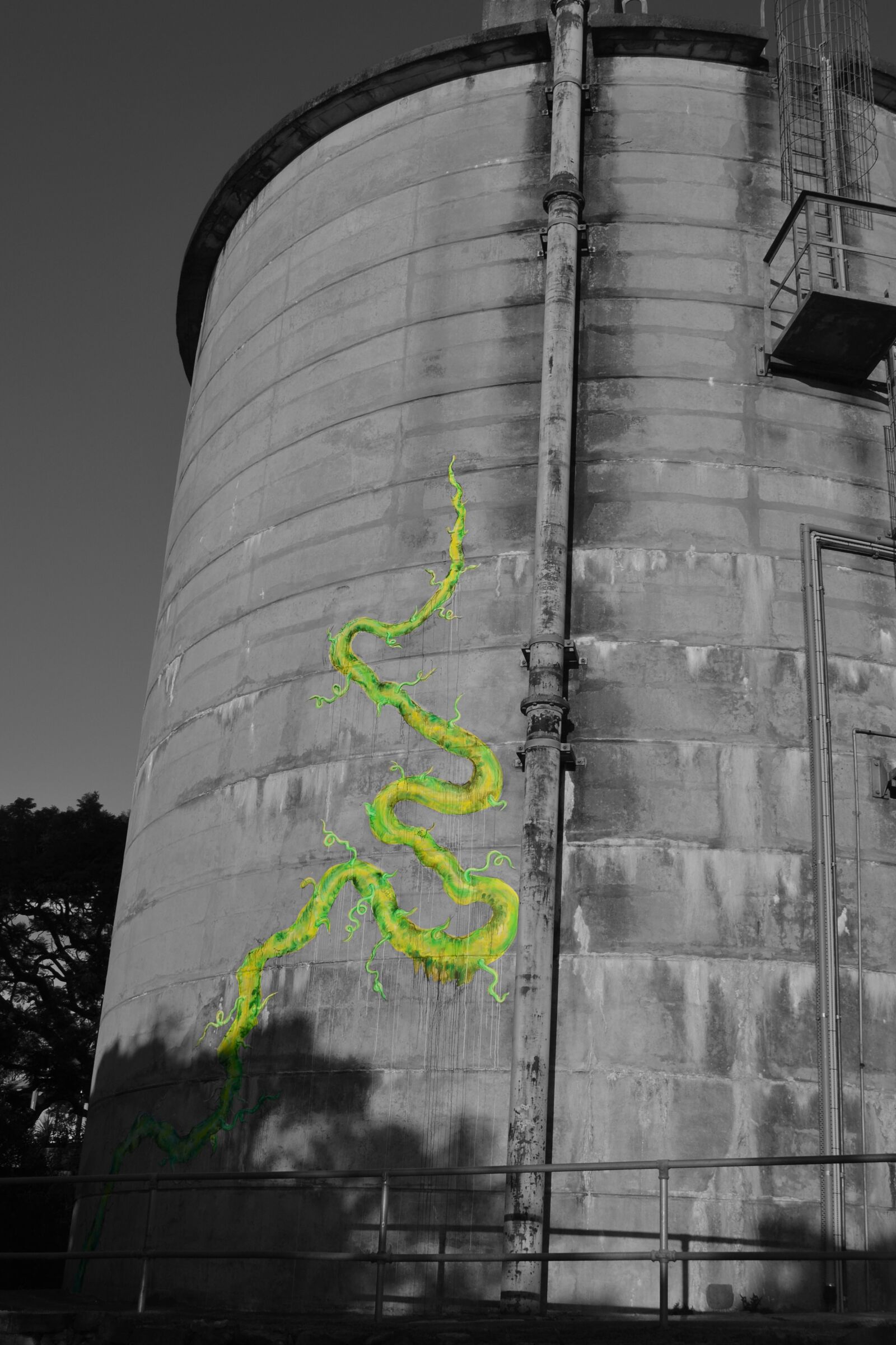Nikon D3100 sample photo. Graffiti, vine, black and photography