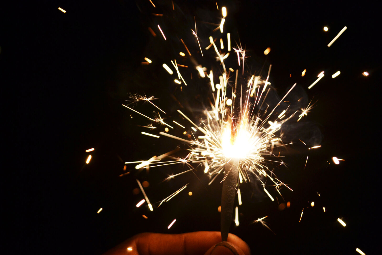 Nikon D3100 sample photo