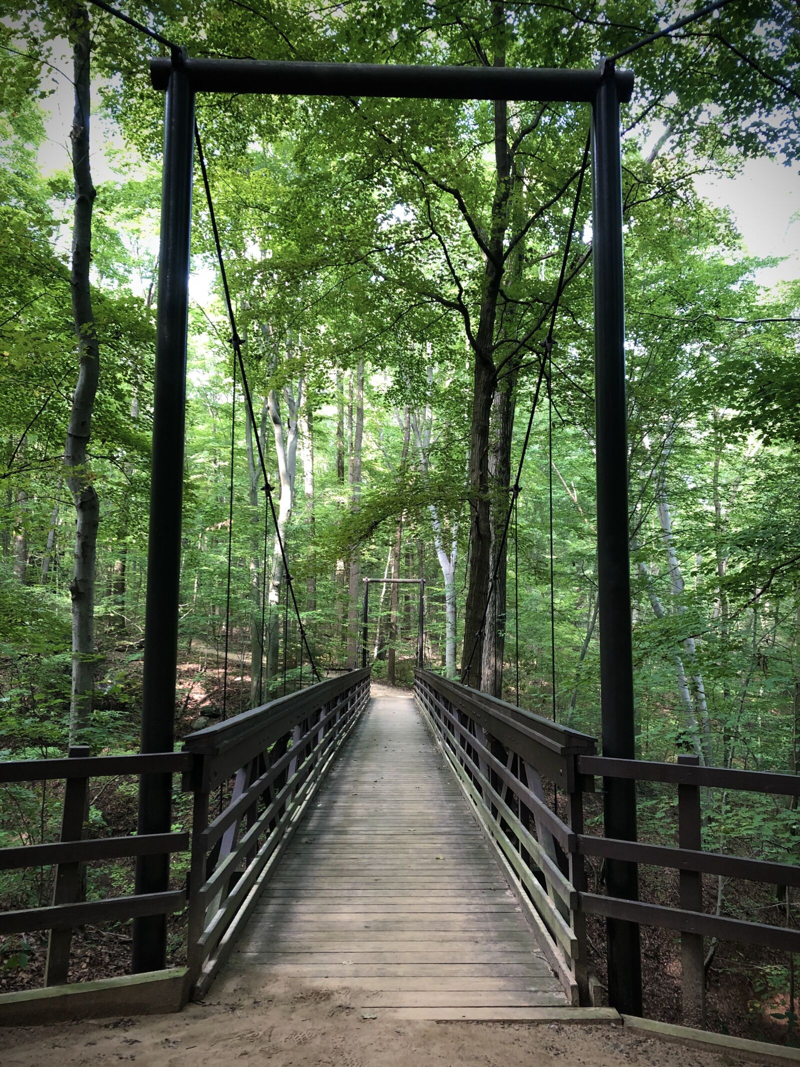 Apple iPhone 8 Plus sample photo. Bridges, nature, forest photography