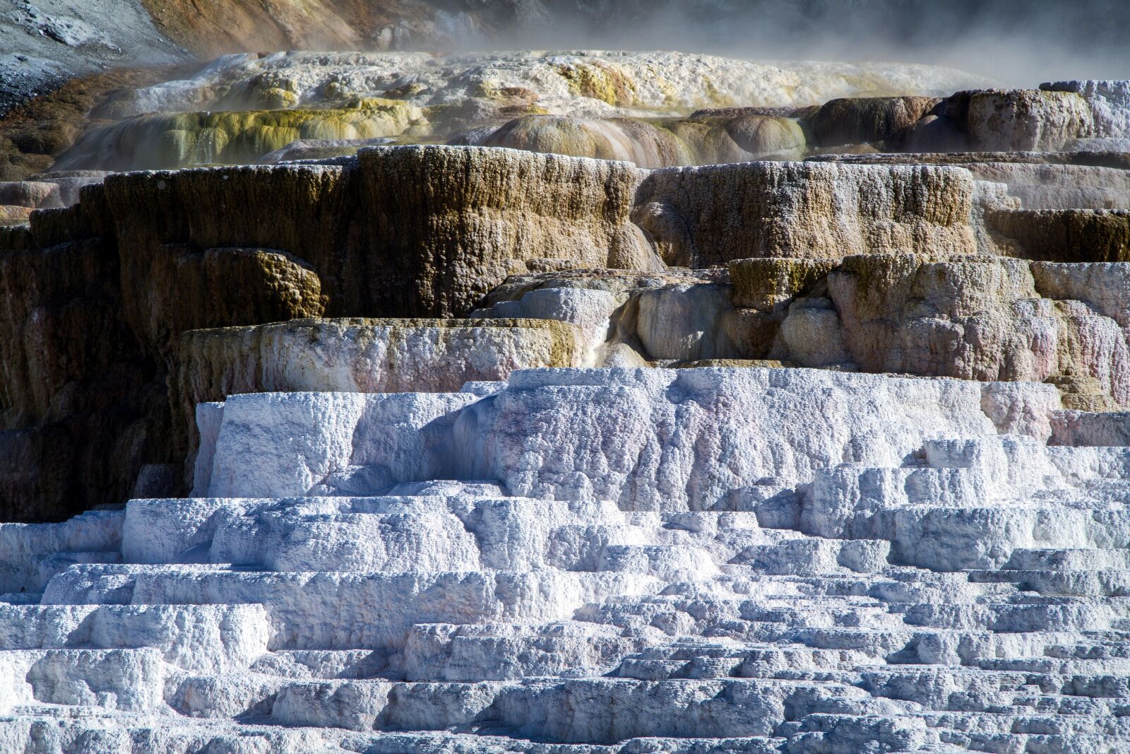 Canon EOS 7D sample photo. Yellowstone national park, wyoming photography
