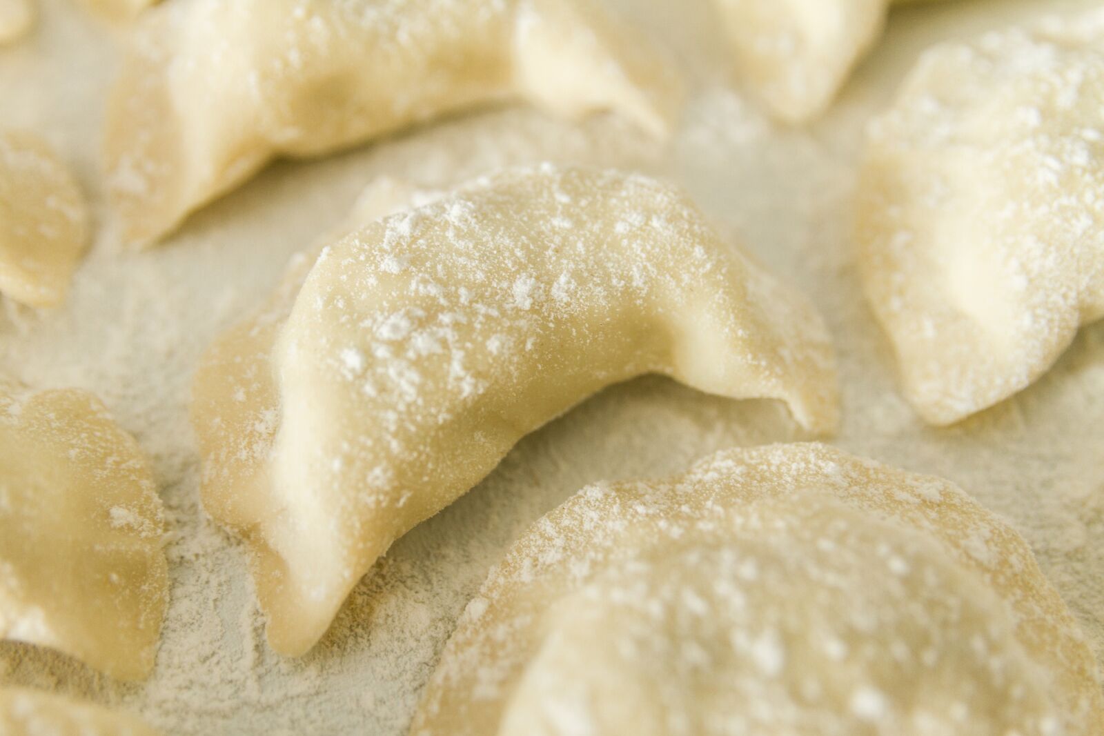 Canon EOS 7D sample photo. Dumplings, raw, uncooked photography