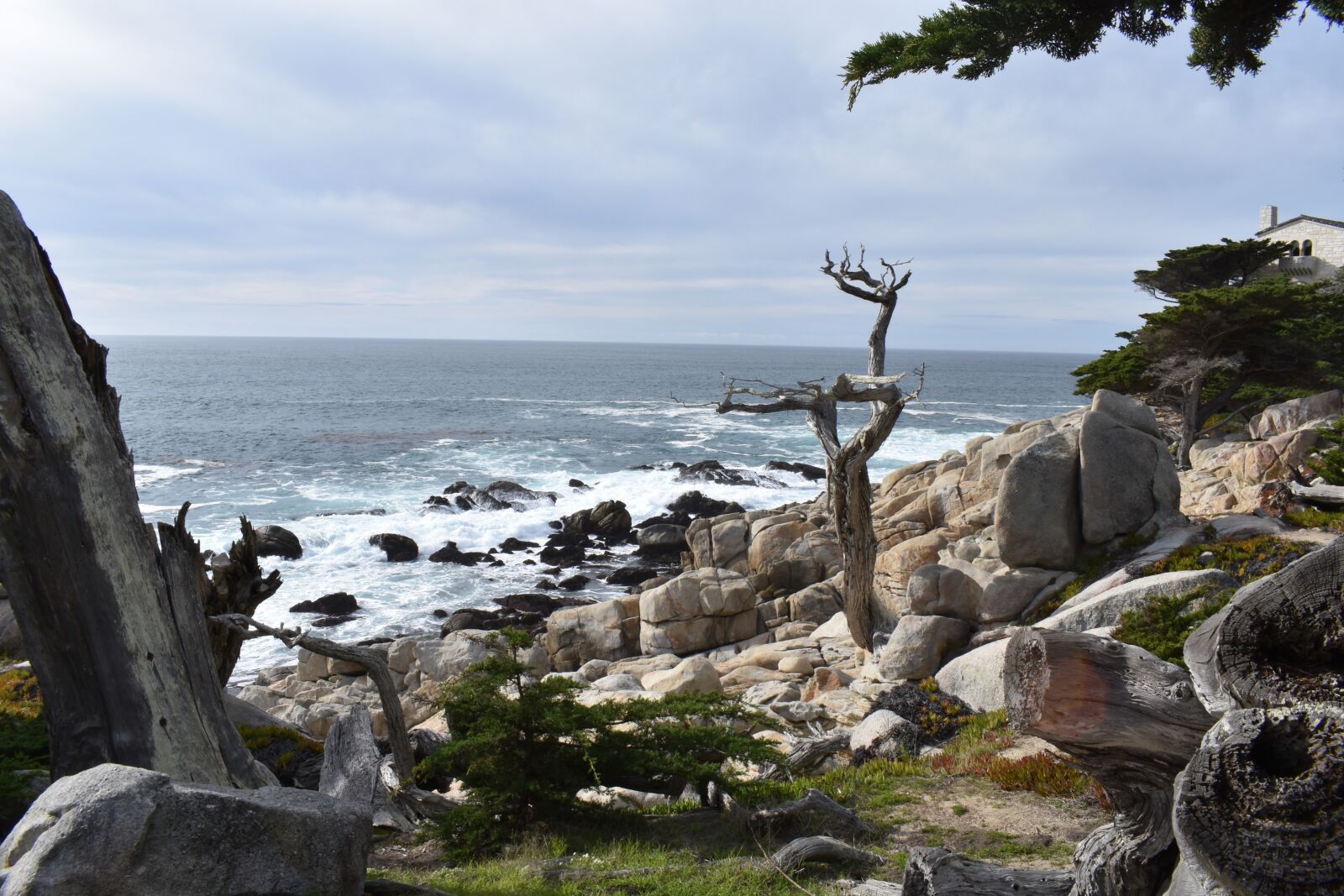 Nikon D3400 sample photo