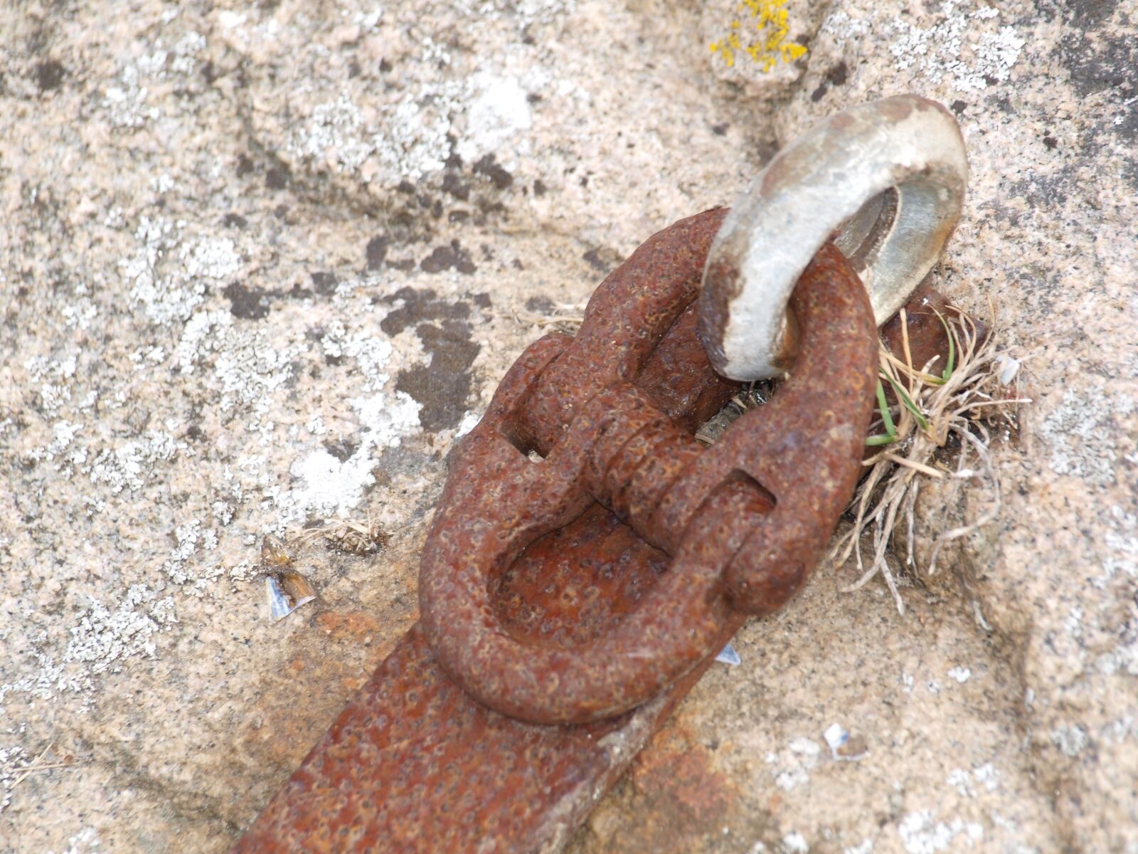 Olympus E-420 (EVOLT E-420) sample photo. Chain, rusty, bran photography