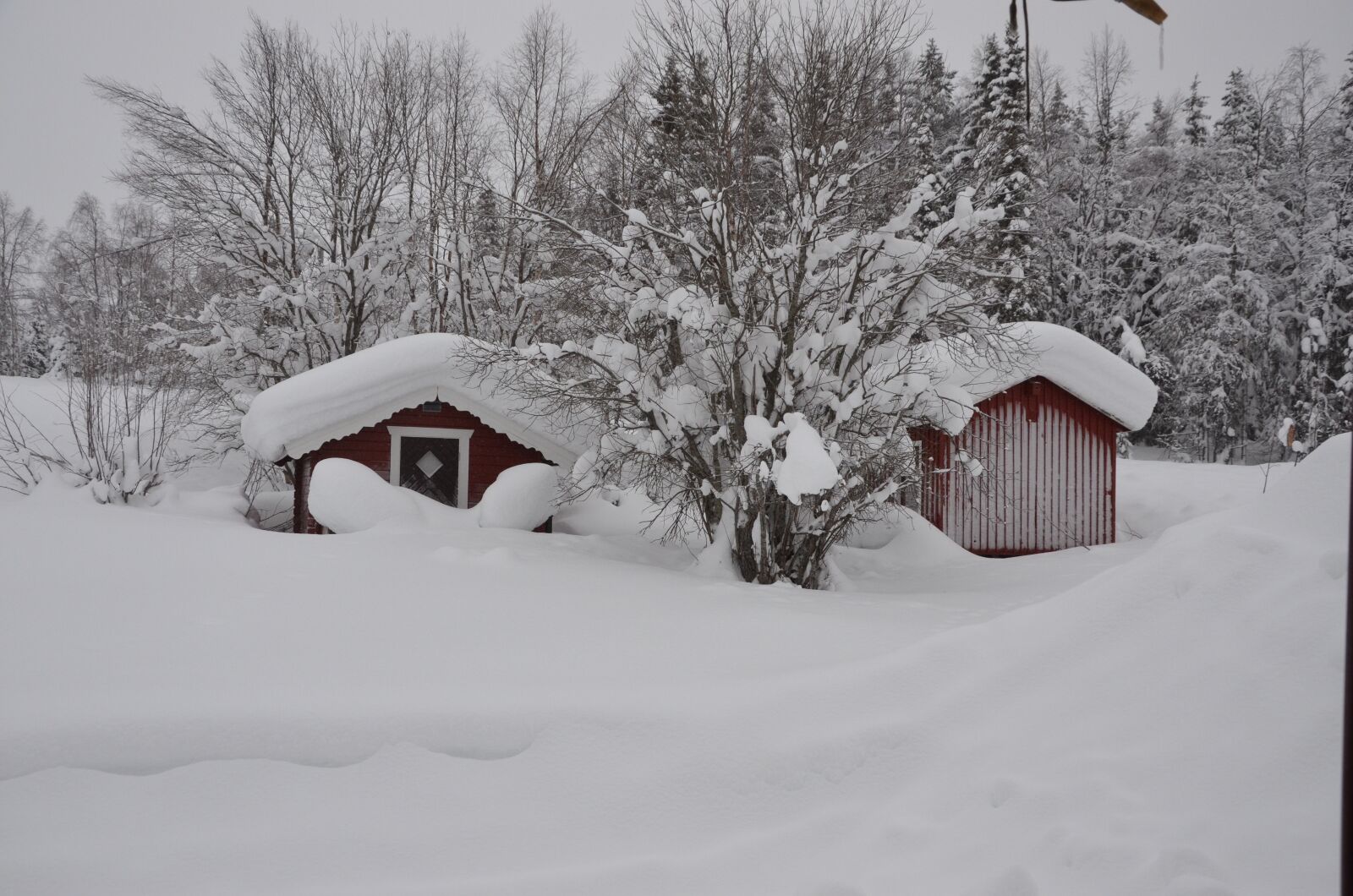 Nikon D7000 sample photo. Lapland, snow, winter photography