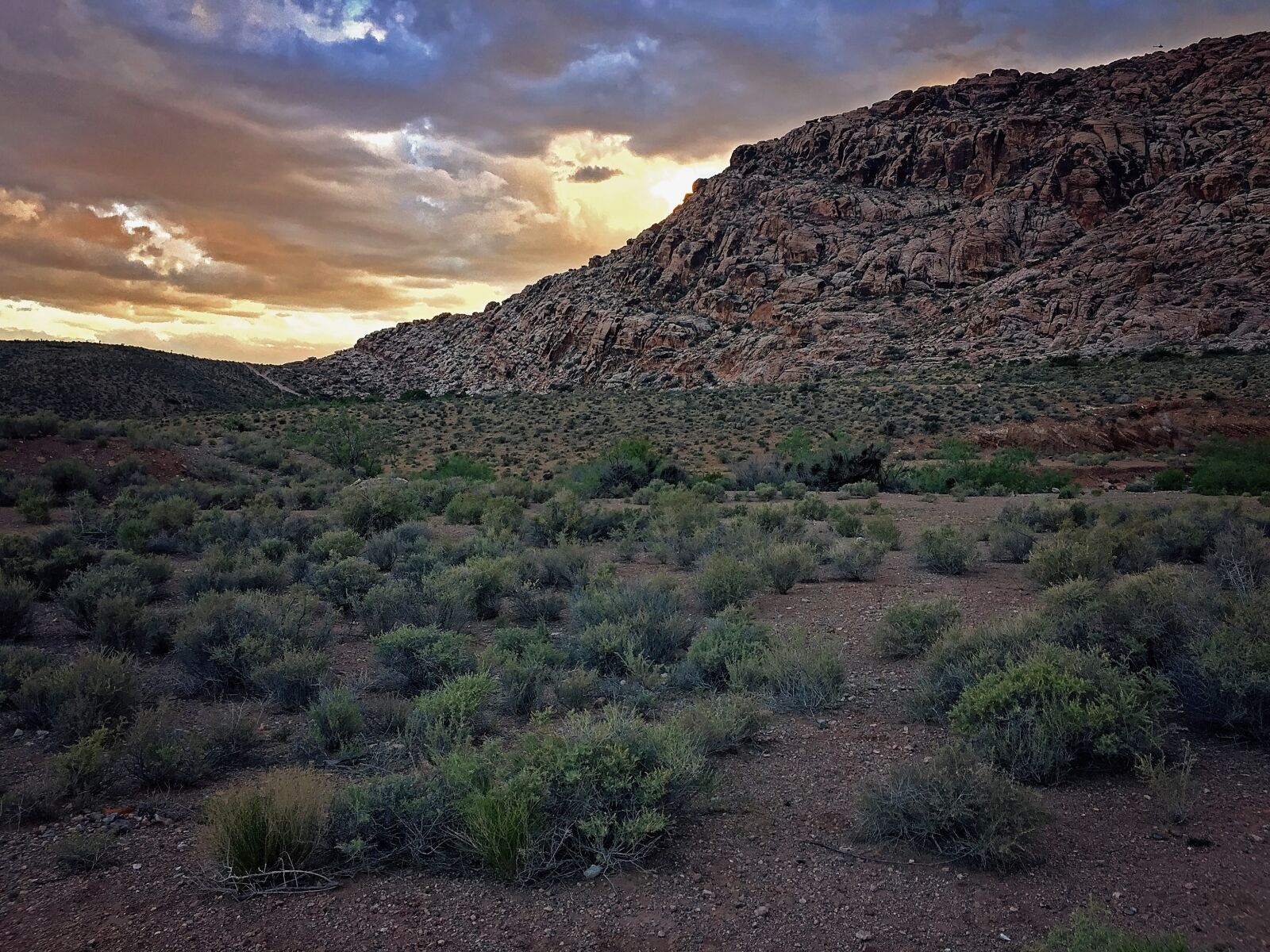 iPhone 6 Plus back camera 4.15mm f/2.2 sample photo. Road, desert, las vegas photography