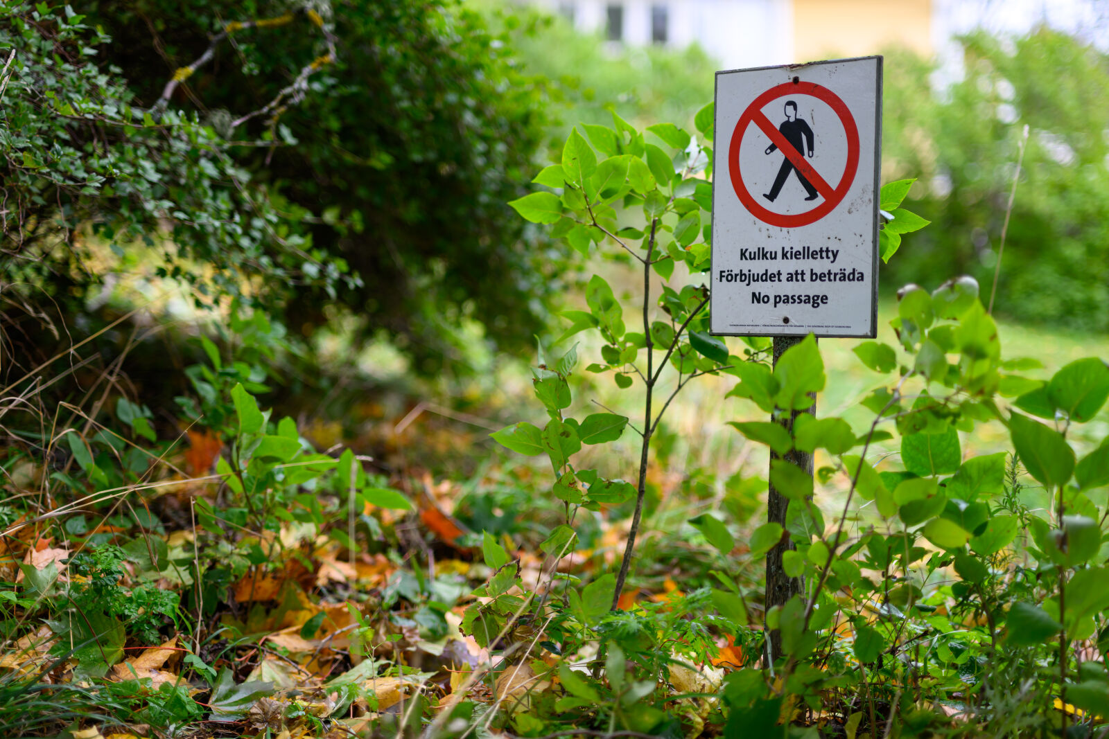 Nikon Z8 sample photo. Forbidden zone photography