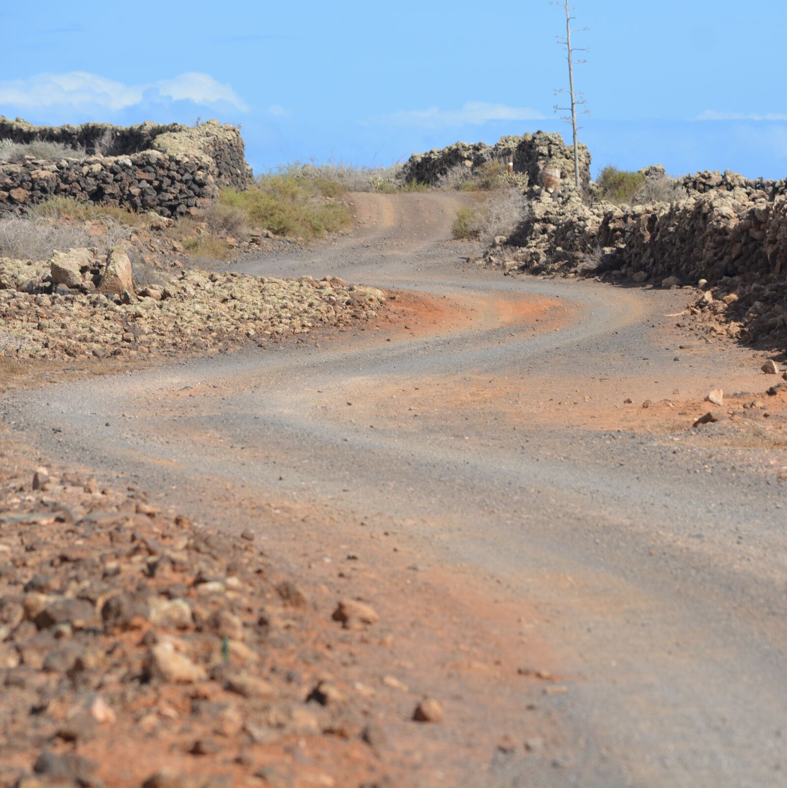 Nikon D5200 sample photo. Road, landscape, bends photography