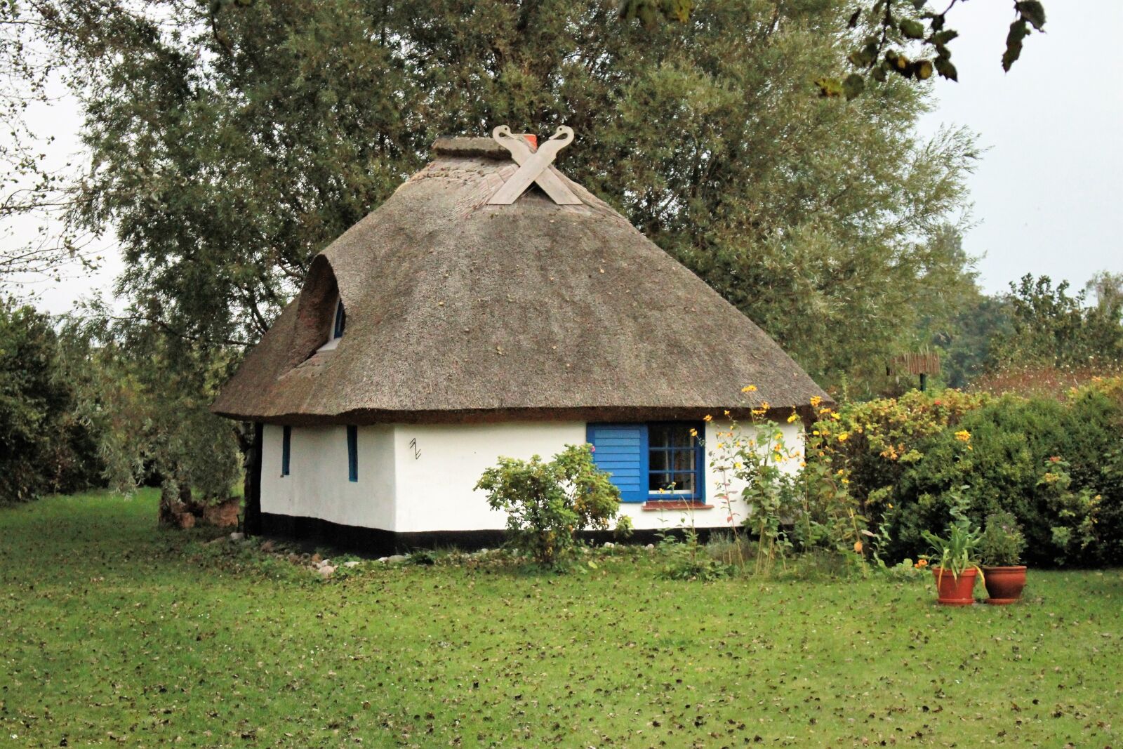 Canon EOS 500D (EOS Rebel T1i / EOS Kiss X3) sample photo. Small house, vitte, hiddensee photography