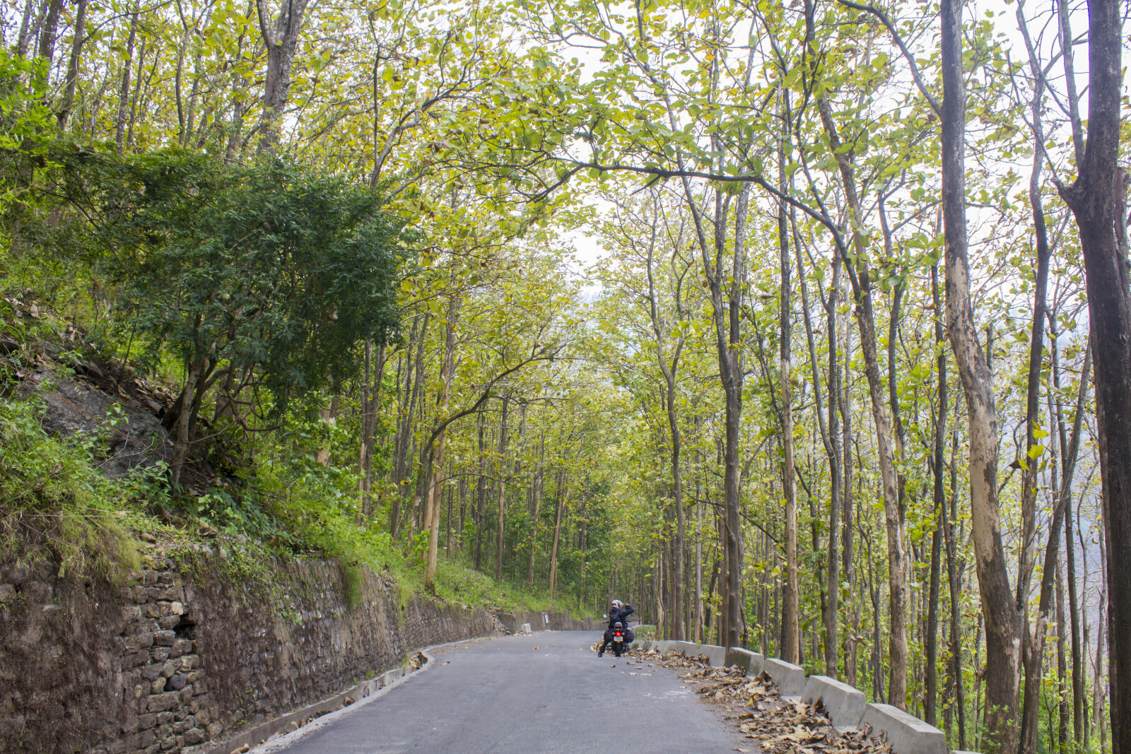 Canon EF-S 18-55mm F3.5-5.6 IS sample photo. Biker, in, nature, forest photography
