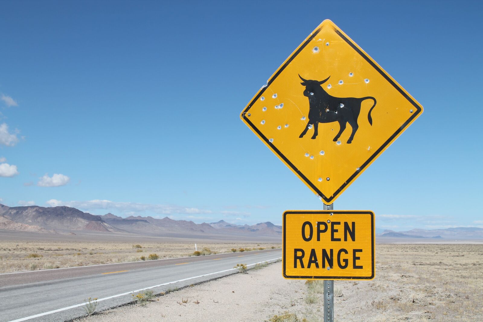 Canon EOS 1100D (EOS Rebel T3 / EOS Kiss X50) sample photo. Road, sign, cattle photography