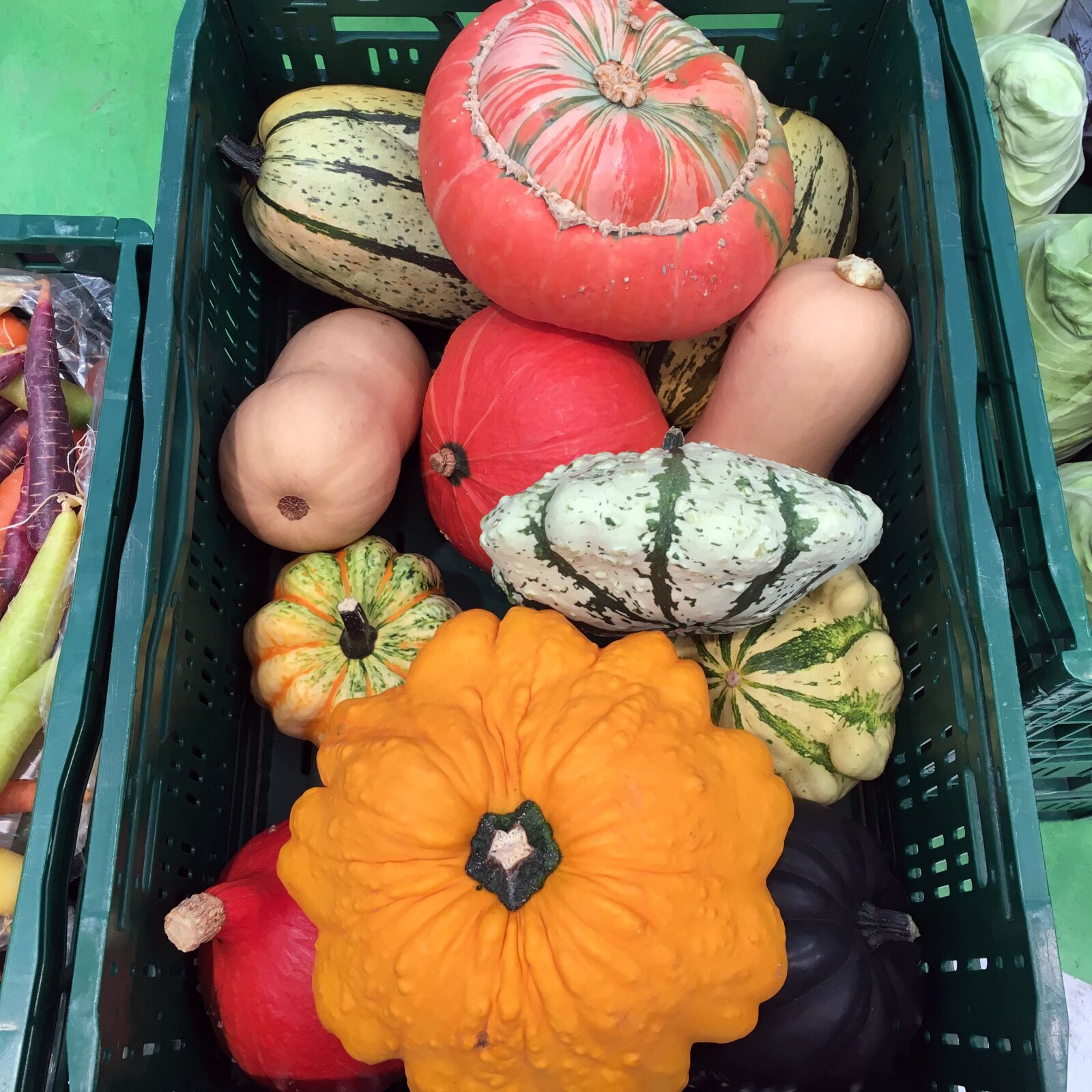 Apple iPhone SE sample photo. Pumpkin, autumn, decorative squashes photography