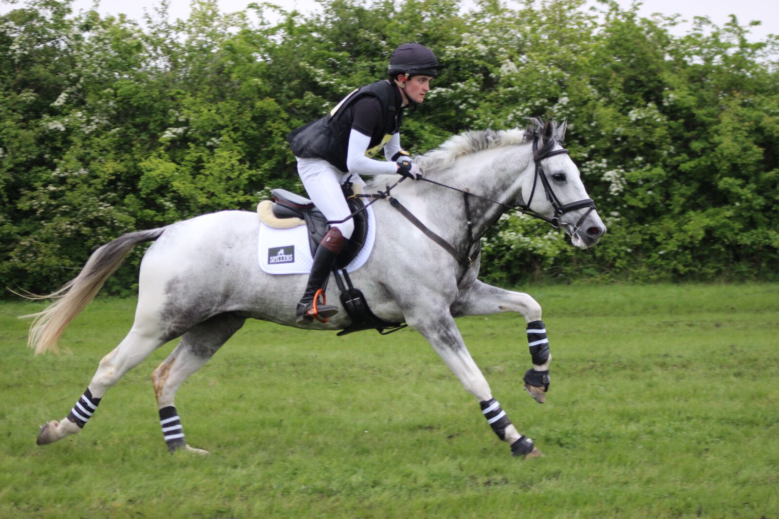 Canon EF75-300mm f/4-5.6 sample photo. Gallop, horse, countryside photography