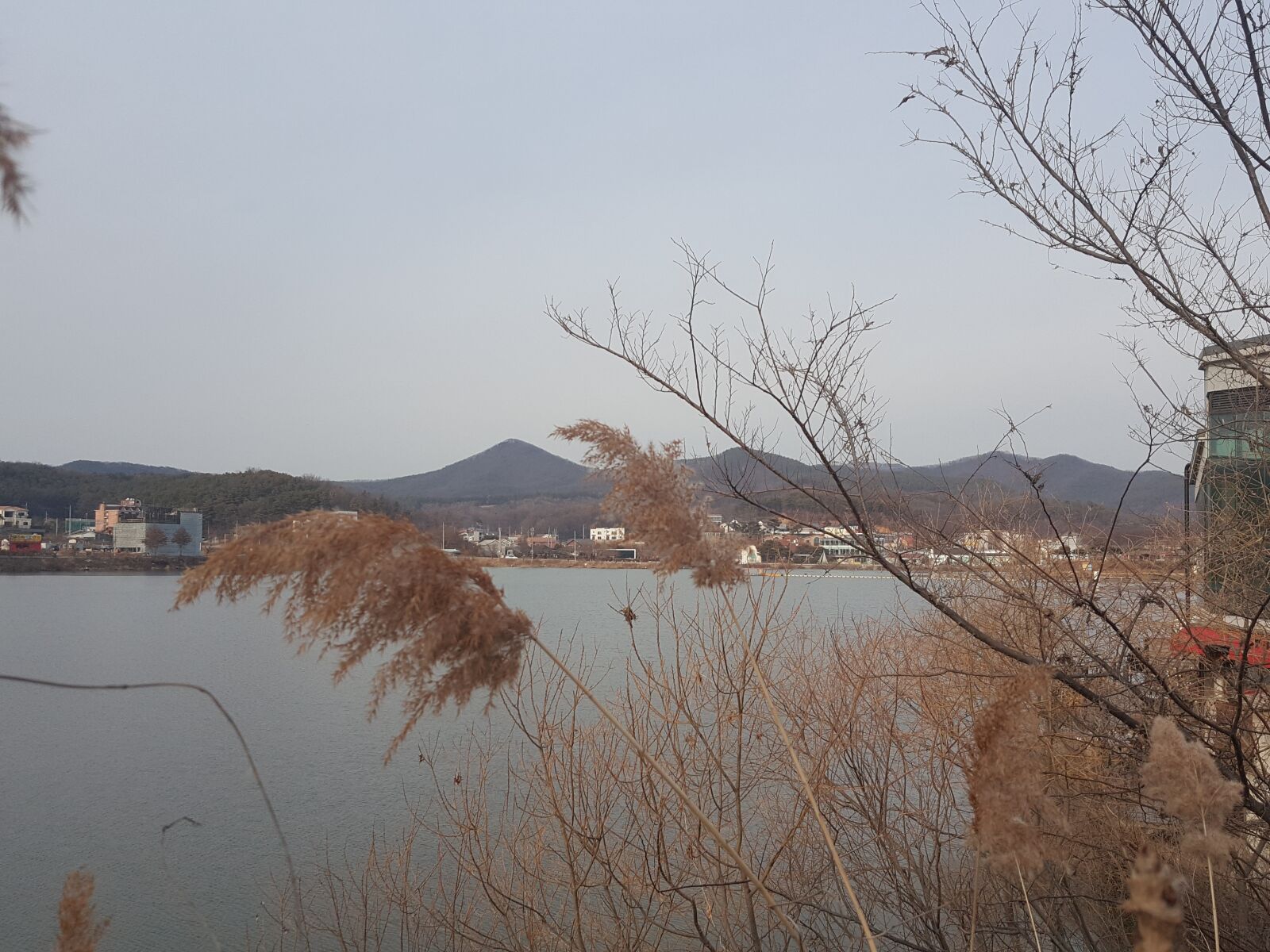 Samsung Galaxy Note5 sample photo. Autumn, reed, lake photography
