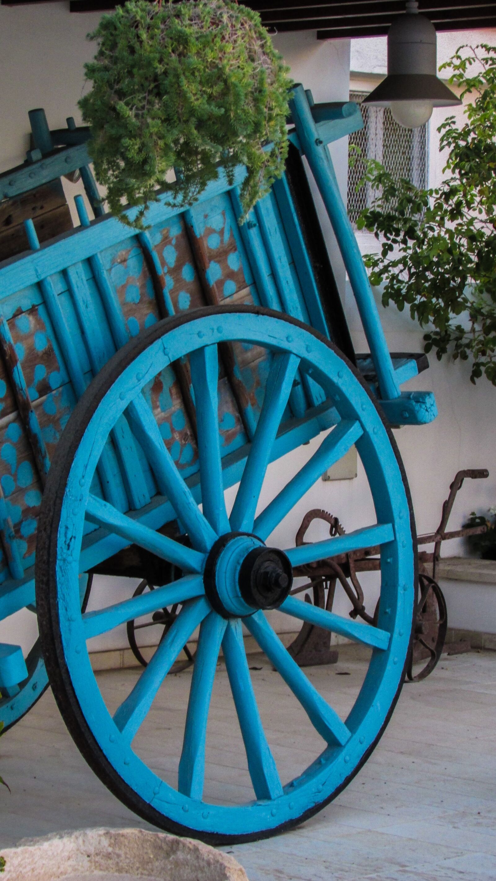 Canon PowerShot SX400 IS sample photo. Cyprus, paralimni, wagon photography