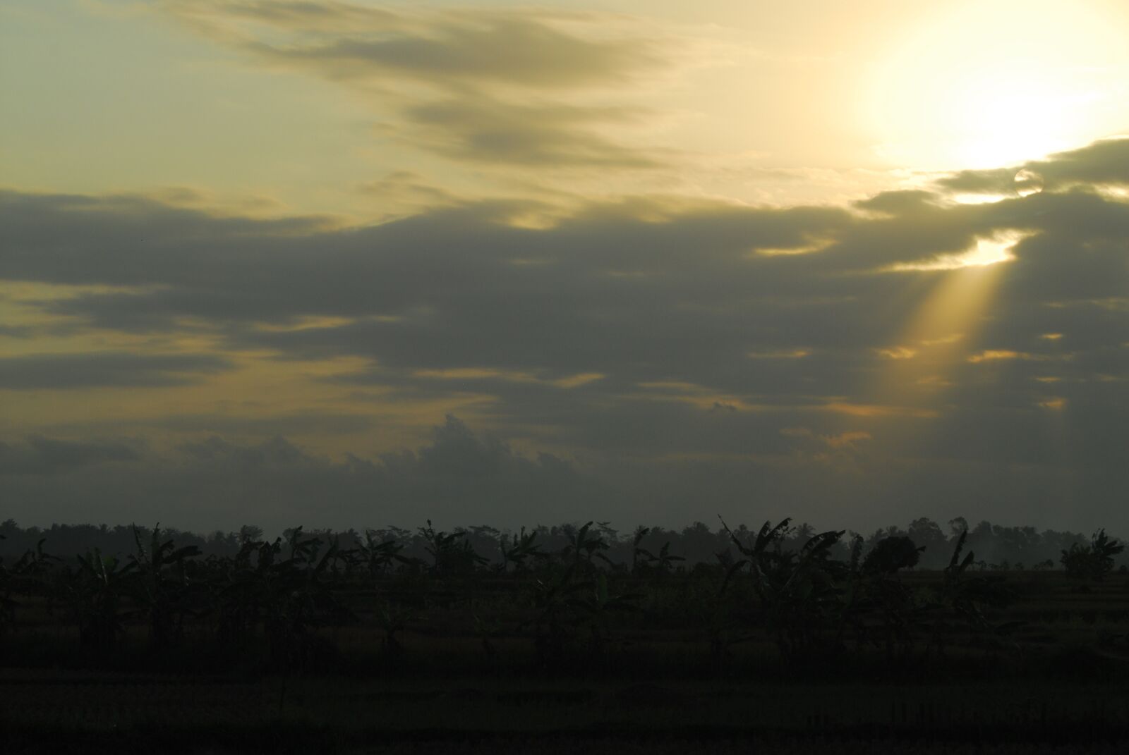 Nikon D200 sample photo. Sun, sky, sunset photography