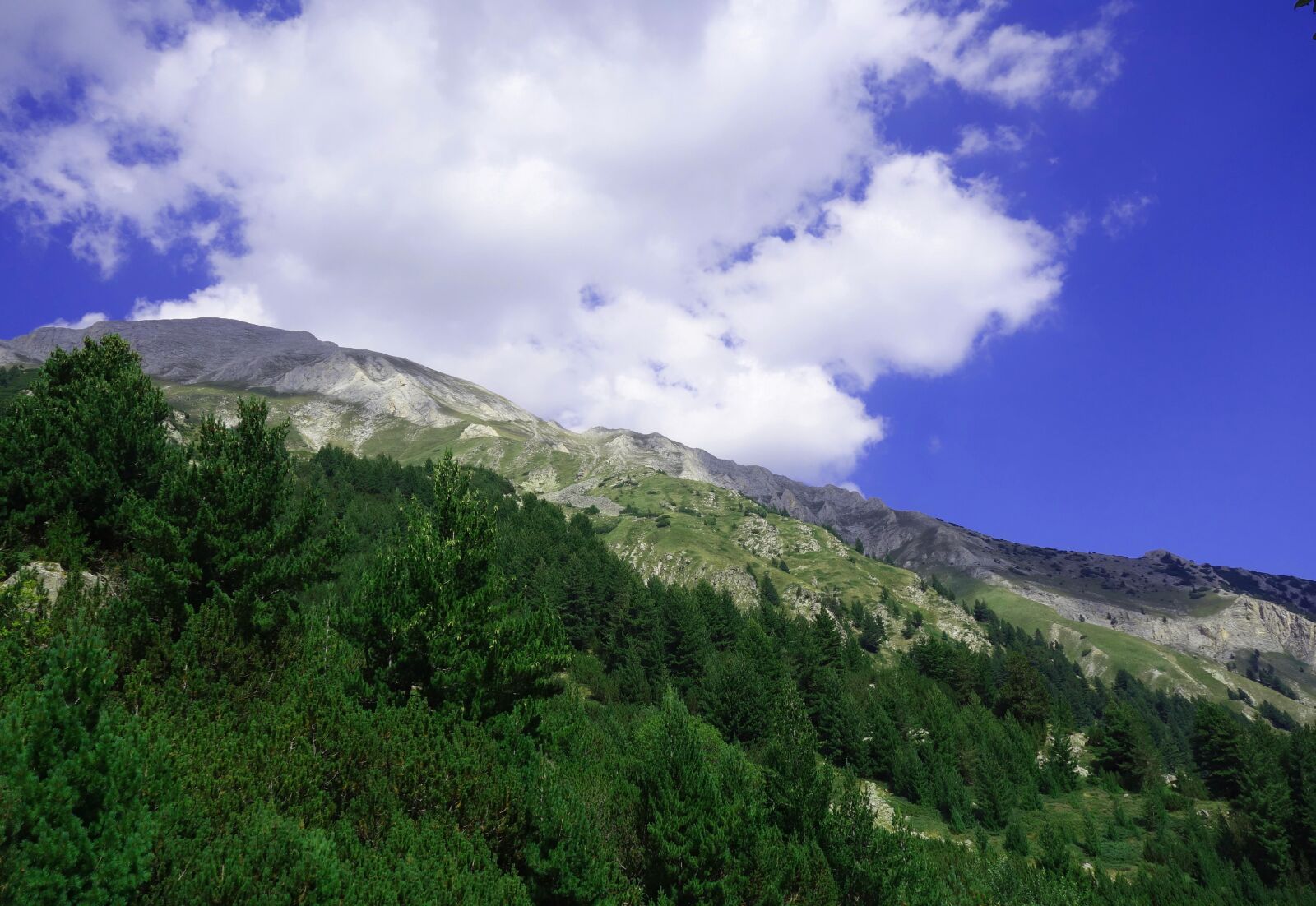 Sony Cyber-shot DSC-RX100 sample photo. Nature, panoramic, mountain photography