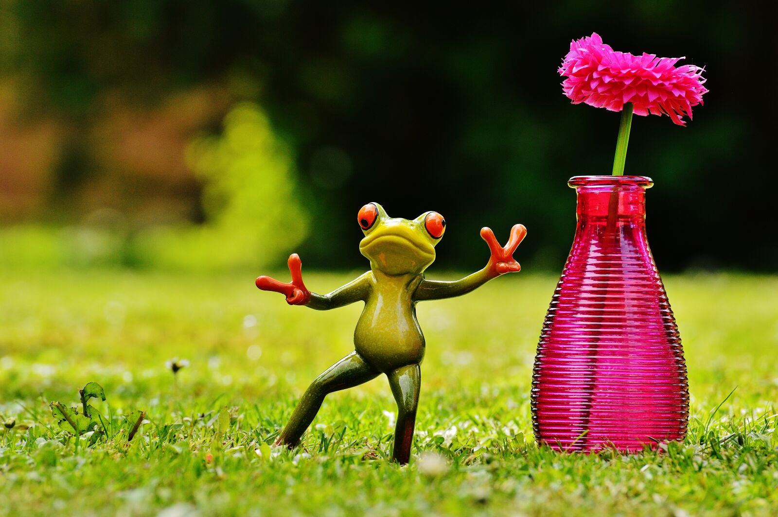 Nikon D3200 sample photo. Frog, gesture, peace photography