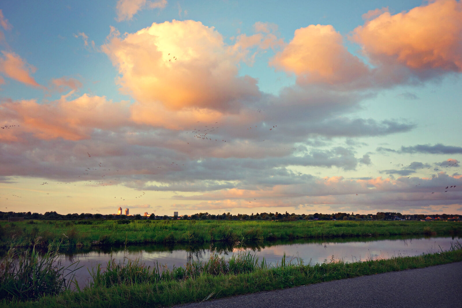 Sony Cyber-shot DSC-RX100 sample photo. Swamp, surrounded, with, green photography