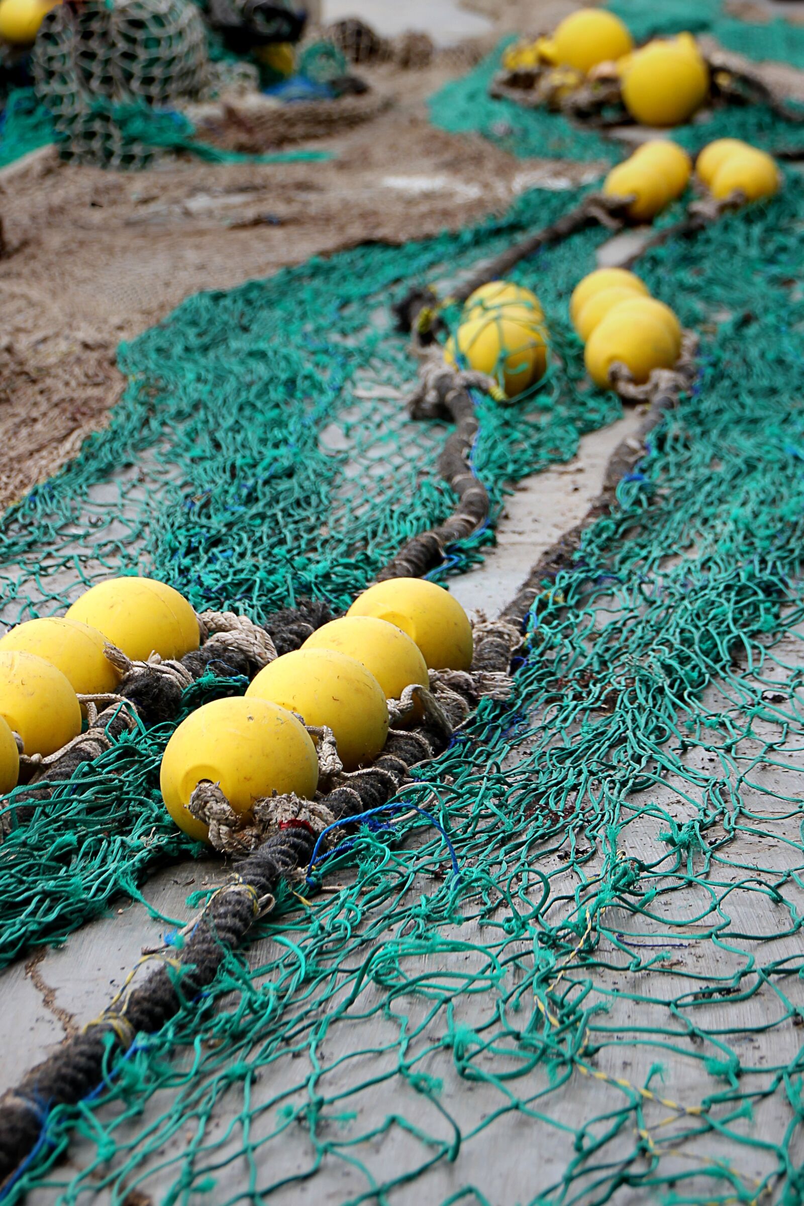 Canon EOS 550D (EOS Rebel T2i / EOS Kiss X4) sample photo. Fishing net, port, fishing photography