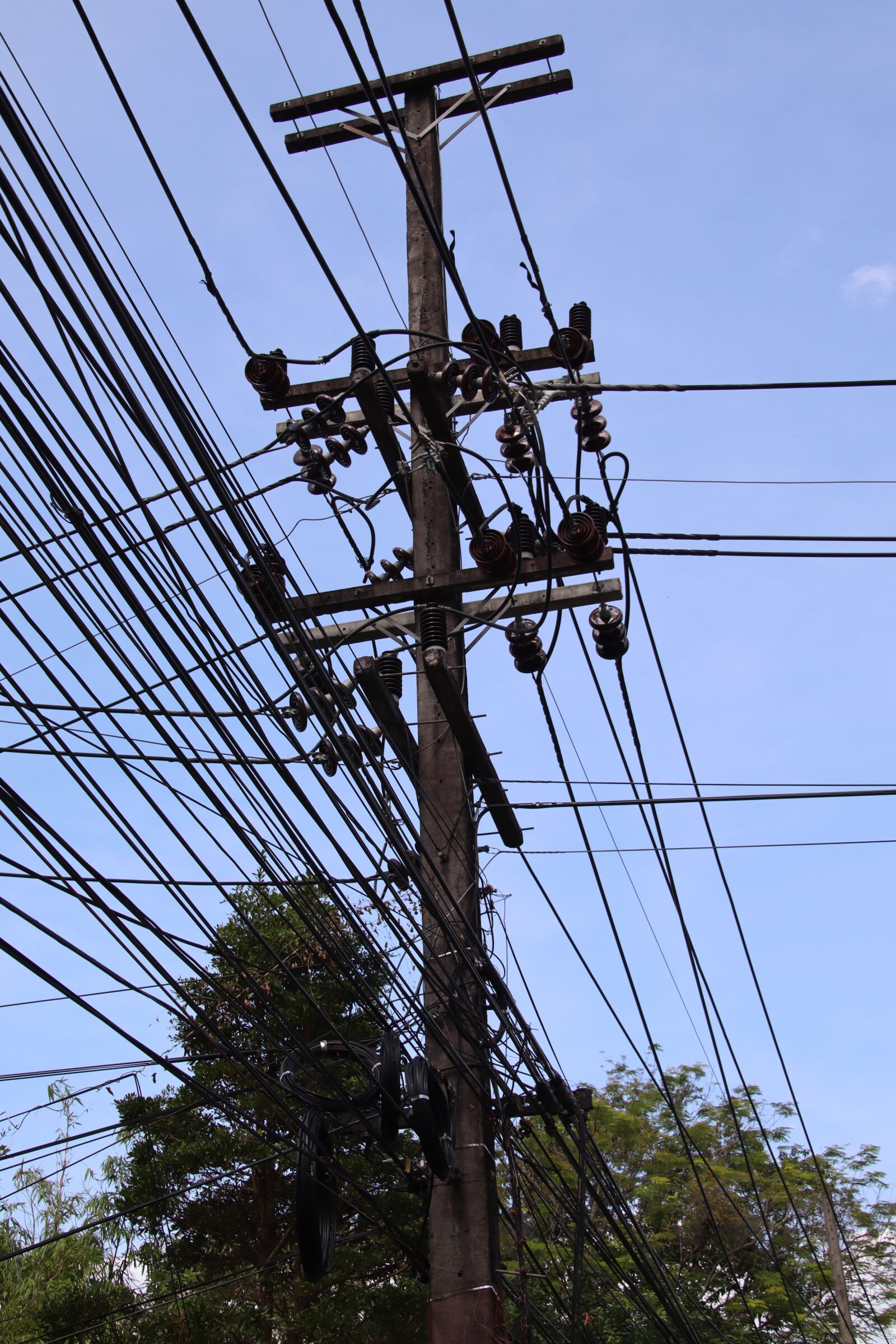 Canon EOS M50 (EOS Kiss M) sample photo. Excess land cable, power photography