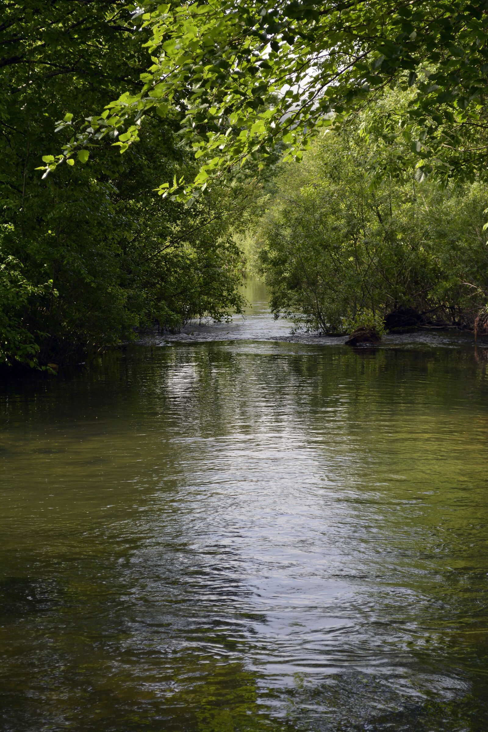 Nikon D5200 sample photo. Nature, river, spring photography