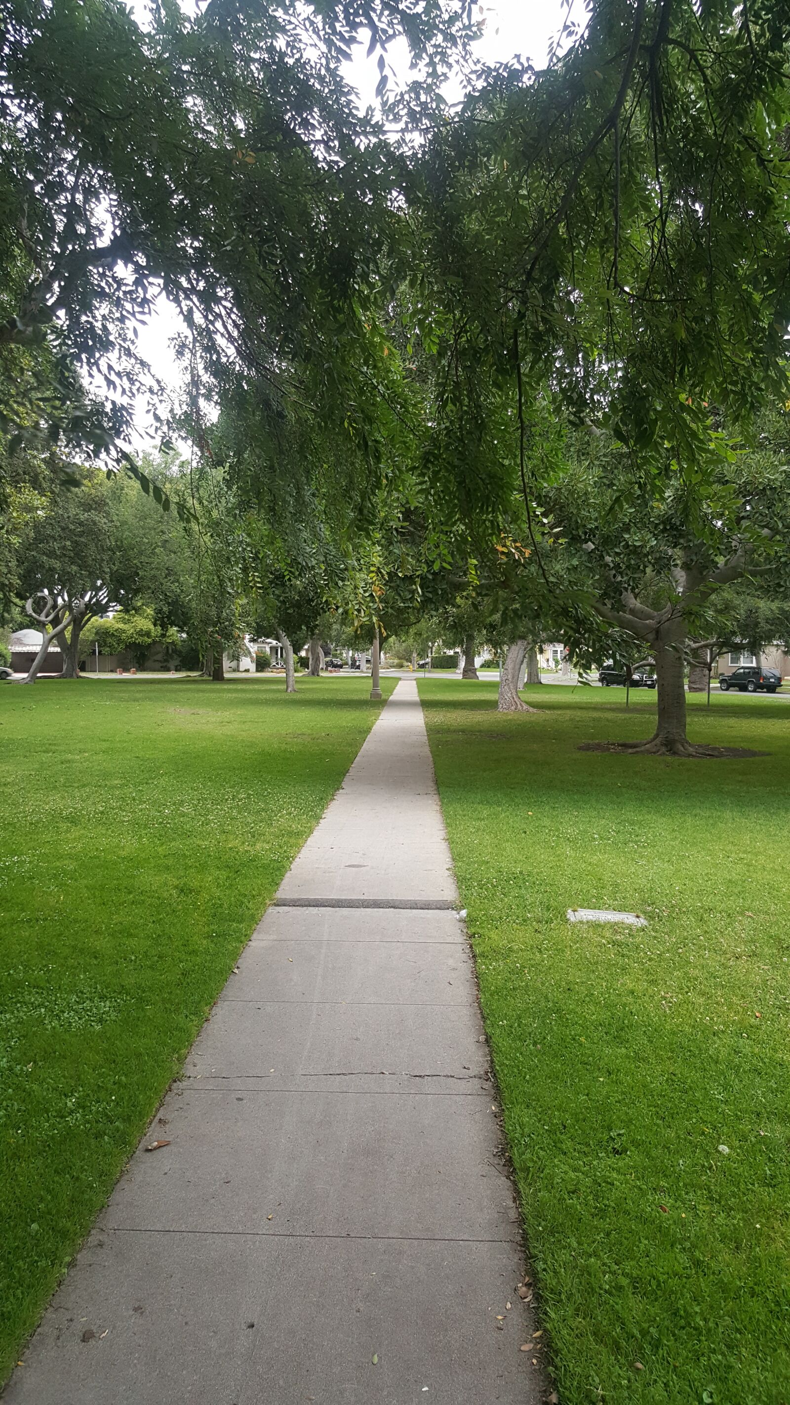 Samsung Galaxy Note5 sample photo. Walk, park, trees photography