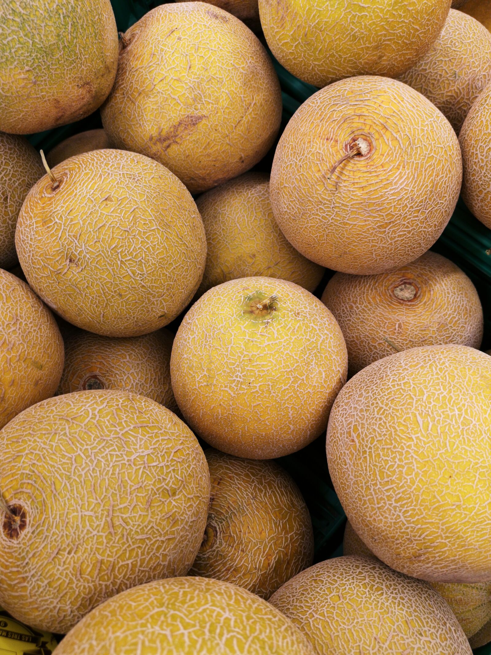 HUAWEI CLT-L09 sample photo. Melon, fruit, yellow photography