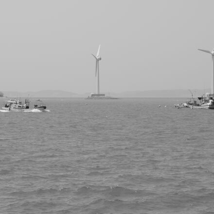 Nikon AF Micro-Nikkor 60mm F2.8D sample photos - ExploreCams