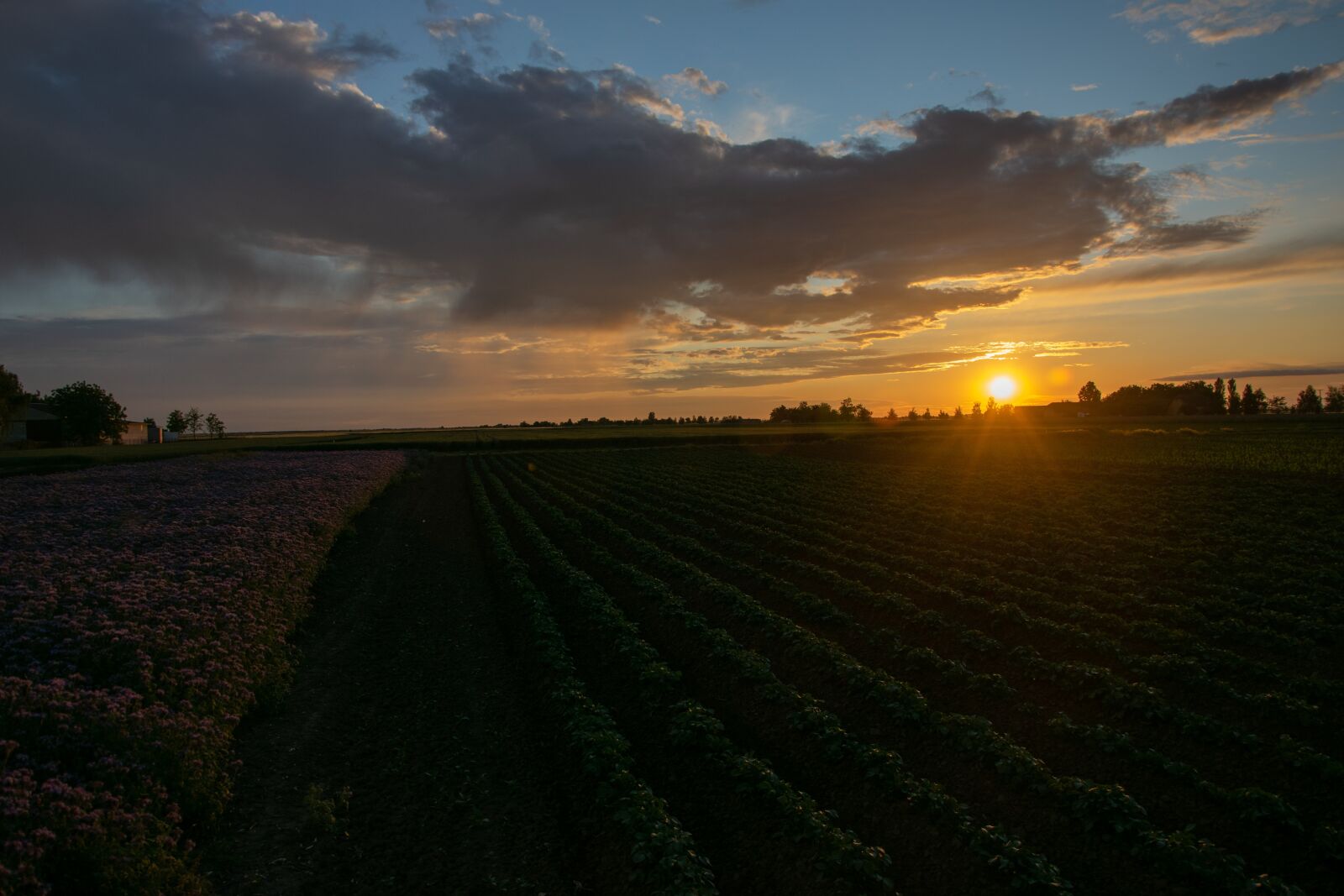 Nikon D3300 sample photo. Sunset, in the evening photography
