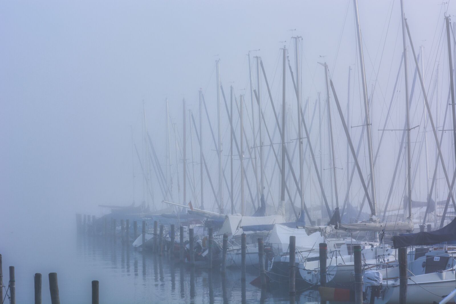 Nikon D7100 sample photo. Fog, port, ships photography
