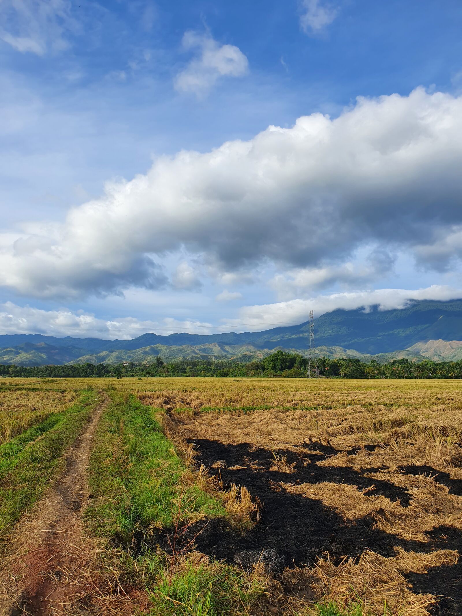 Samsung SM-G975F sample photo. Nature, cloud, mountain grass photography