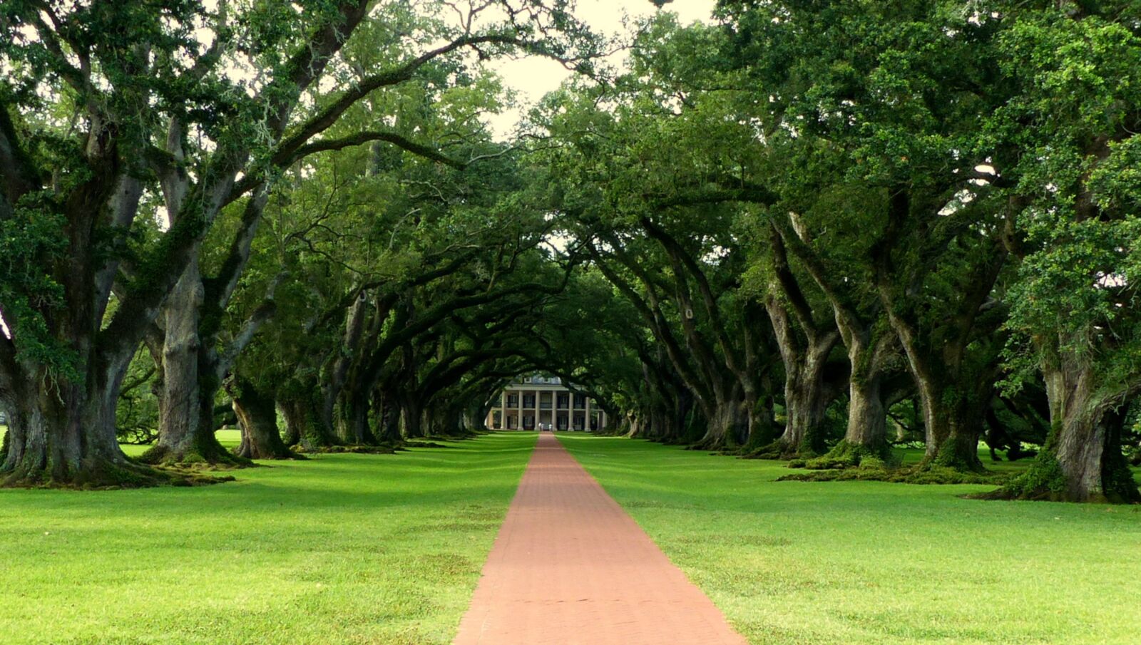Panasonic Lumix DMC-FZ200 sample photo. Louisiana, plantation, america photography