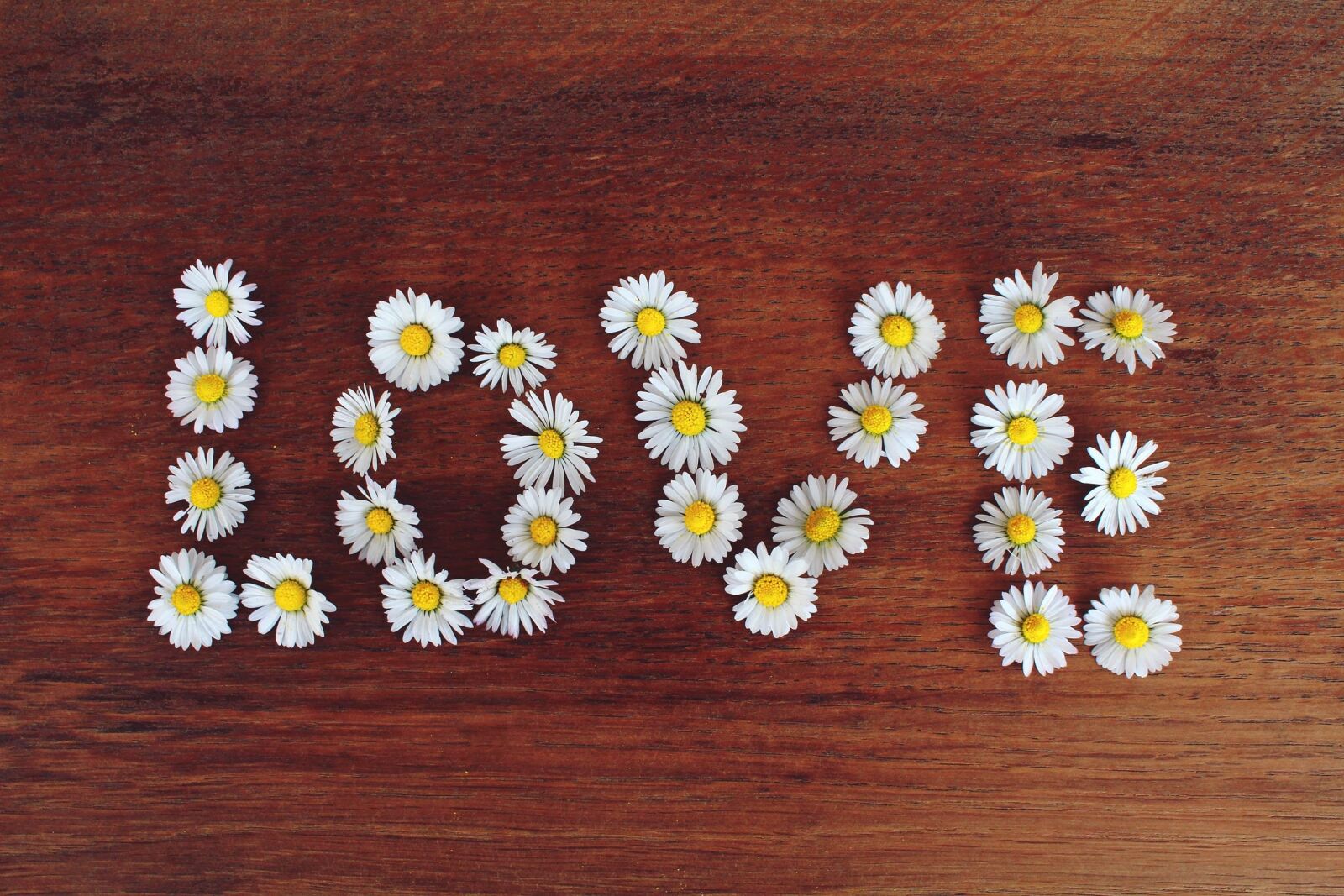 Canon EOS 1200D (EOS Rebel T5 / EOS Kiss X70 / EOS Hi) sample photo. Daisy, word, love photography