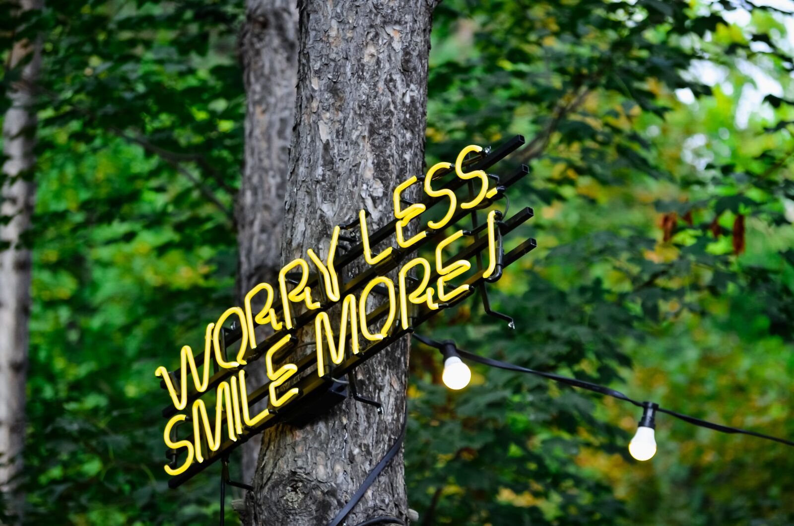 Nikon D7000 sample photo. Message, green, summer photography