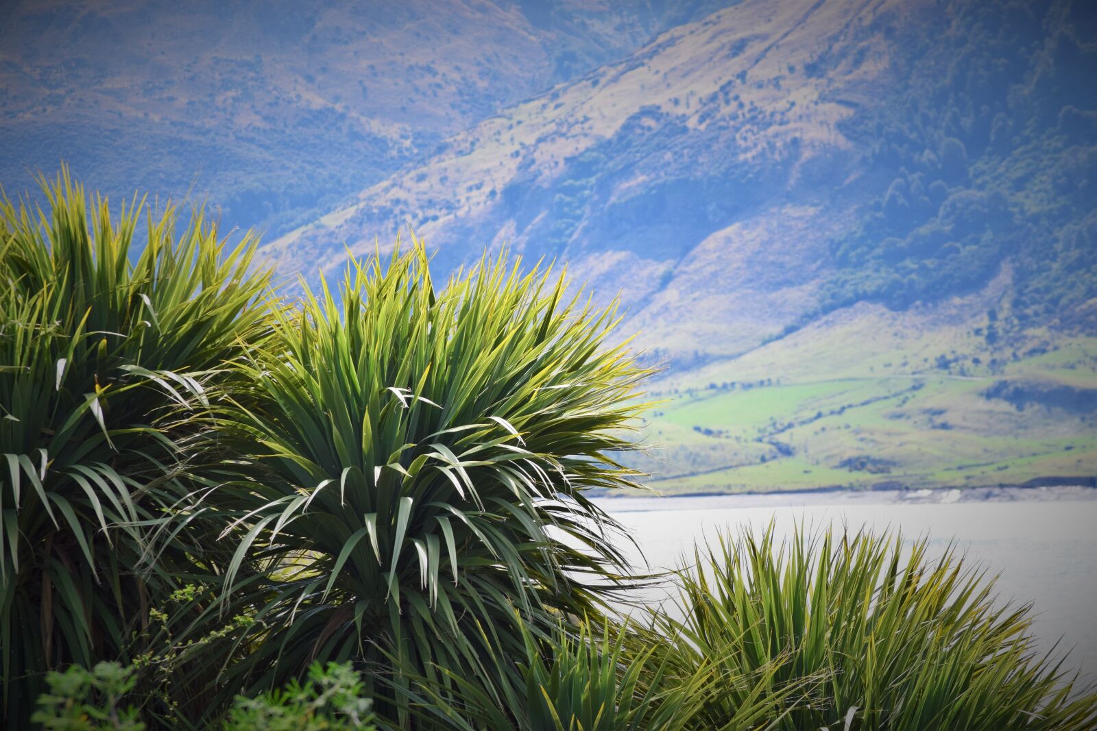 Nikon D5300 sample photo. Nature, scenery, tranquil photography