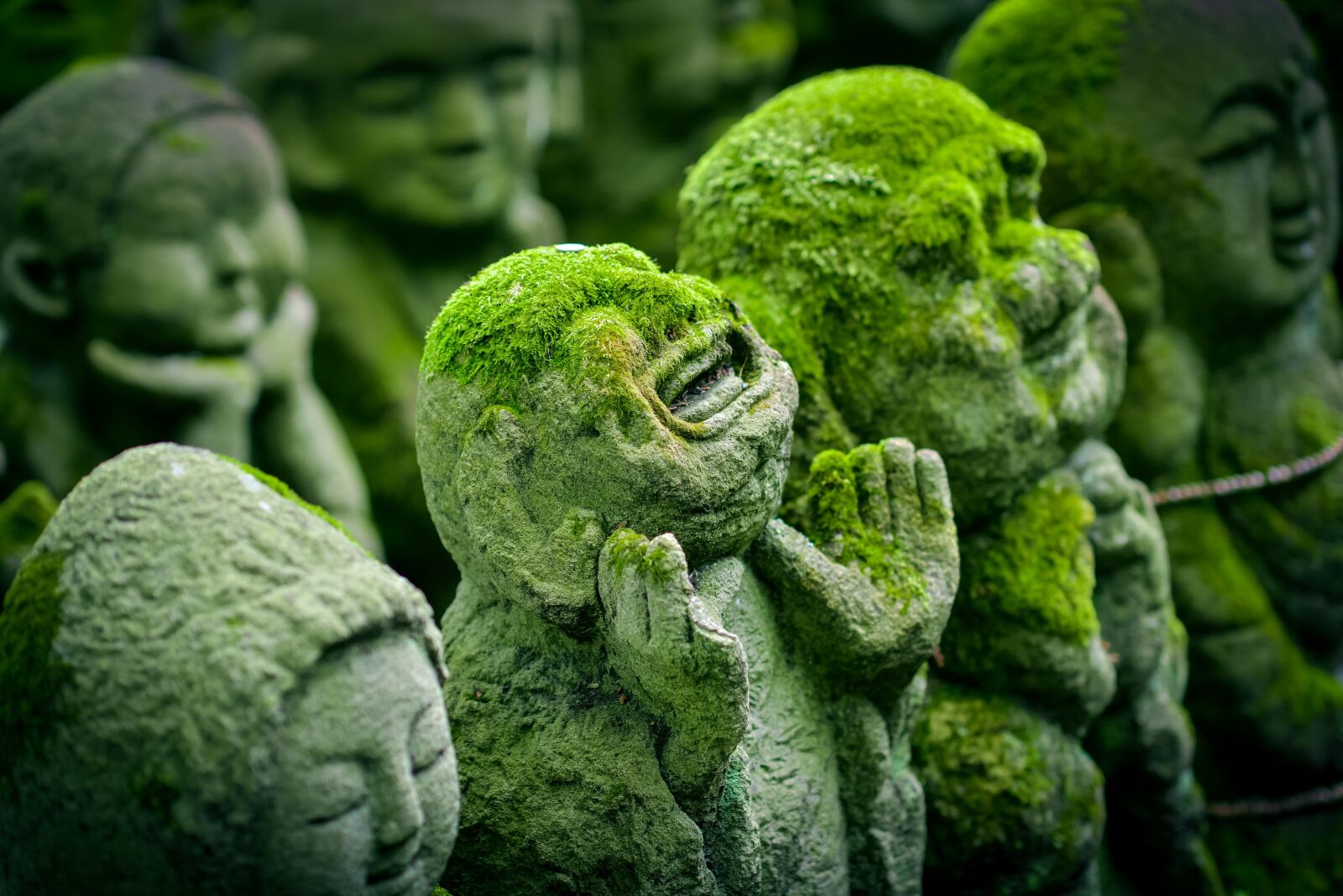 Nikon D800 sample photo. Kyoto, japan, statue photography