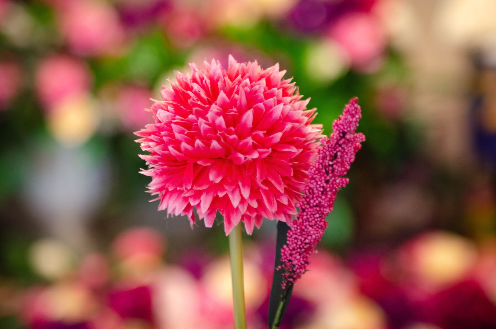 Nikon D7000 sample photo. Bridal, flowers, bokeh photography