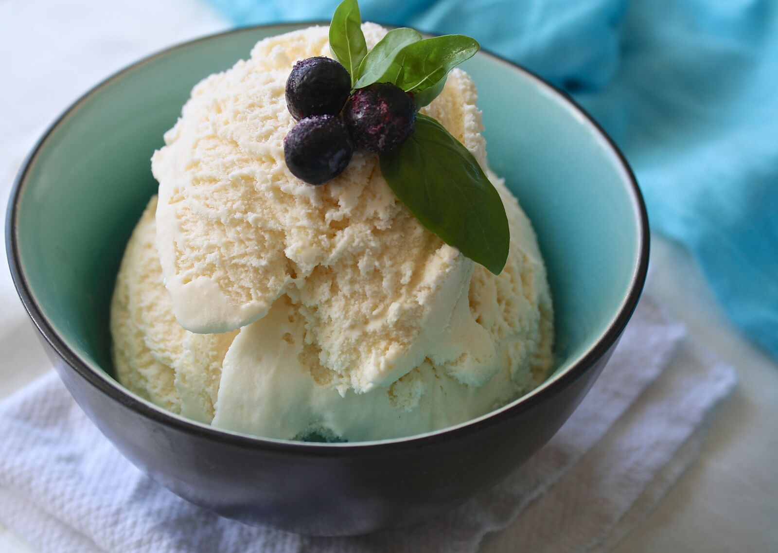 Canon EOS 1000D (EOS Digital Rebel XS / EOS Kiss F) sample photo. Ice cream, fruit, blueberry photography