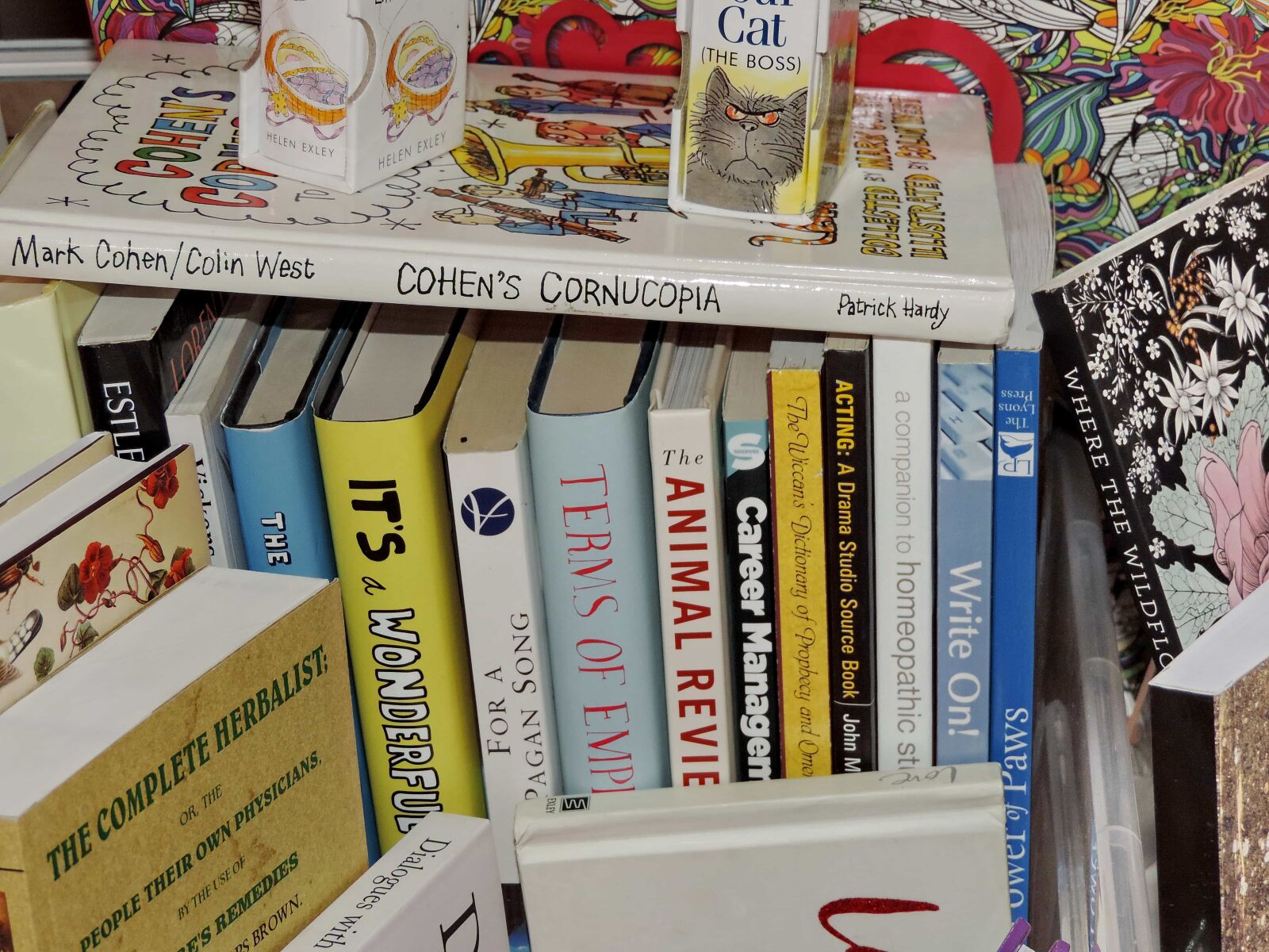 Nikon Coolpix P520 sample photo. Books, bookshop, bookstore, shelf photography