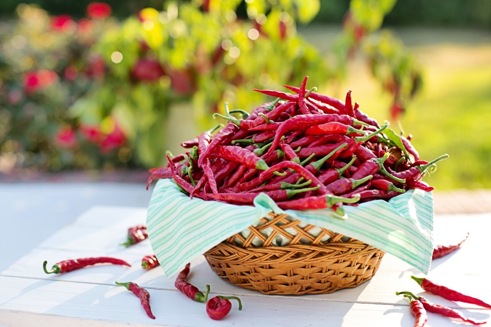 Canon EF 50mm F1.4 USM sample photo. Cayenne peppers, chili peppers photography