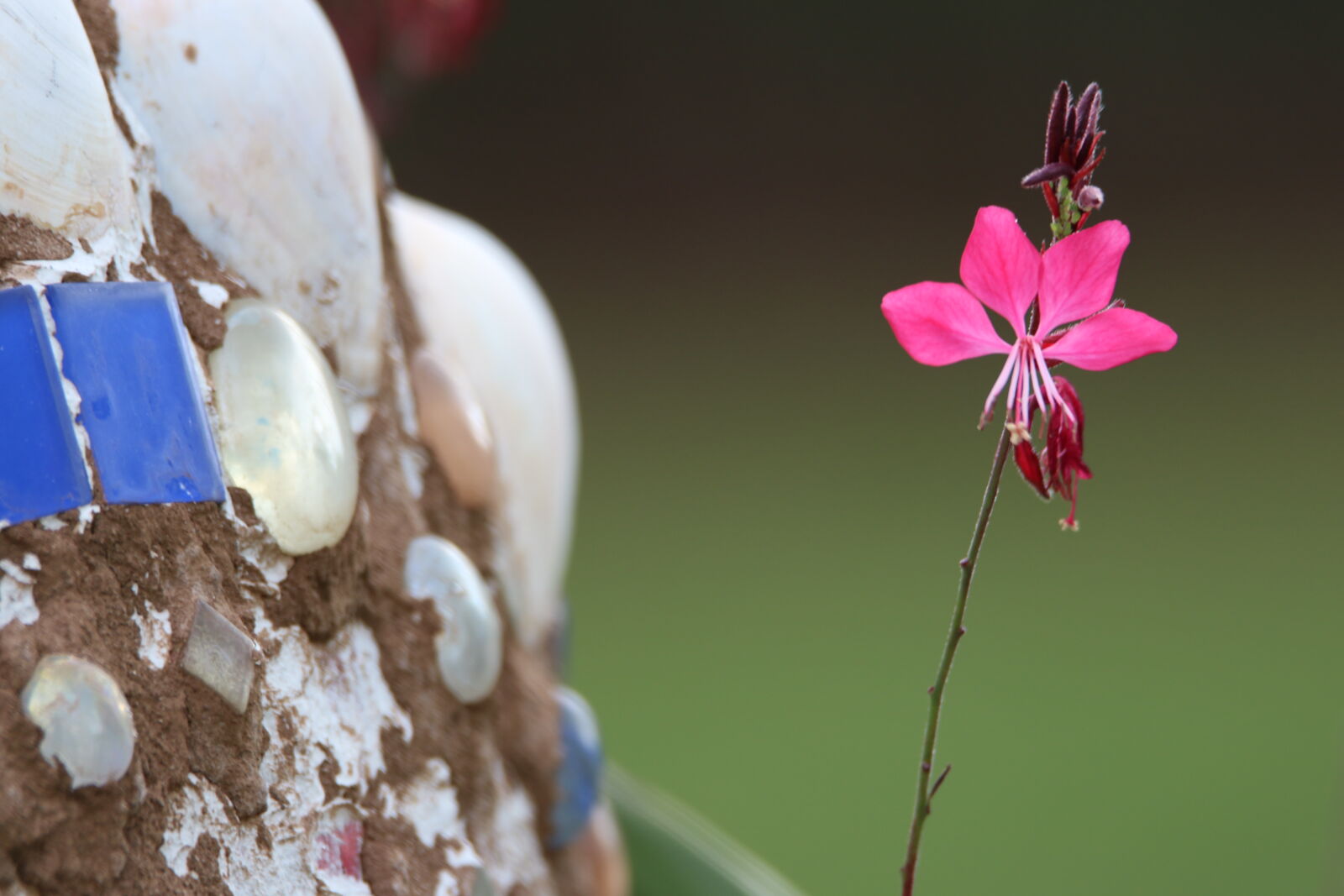 Canon EOS 7D Mark II sample photo. Flower, garden, glass, mosaic photography