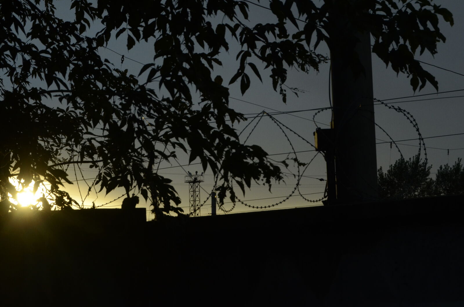 Nikon D5100 sample photo