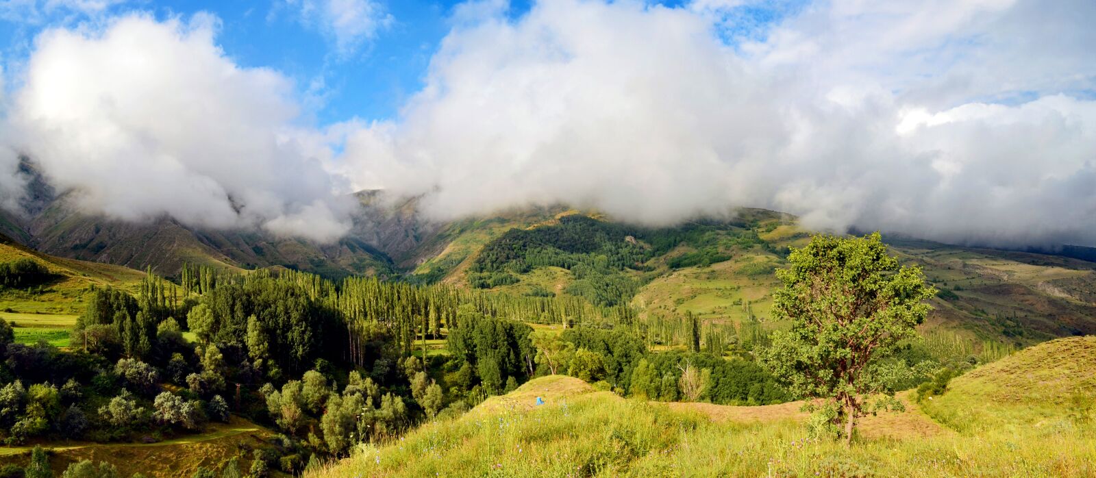 Nikon D5100 sample photo. Nature, landscape, kaçkars photography